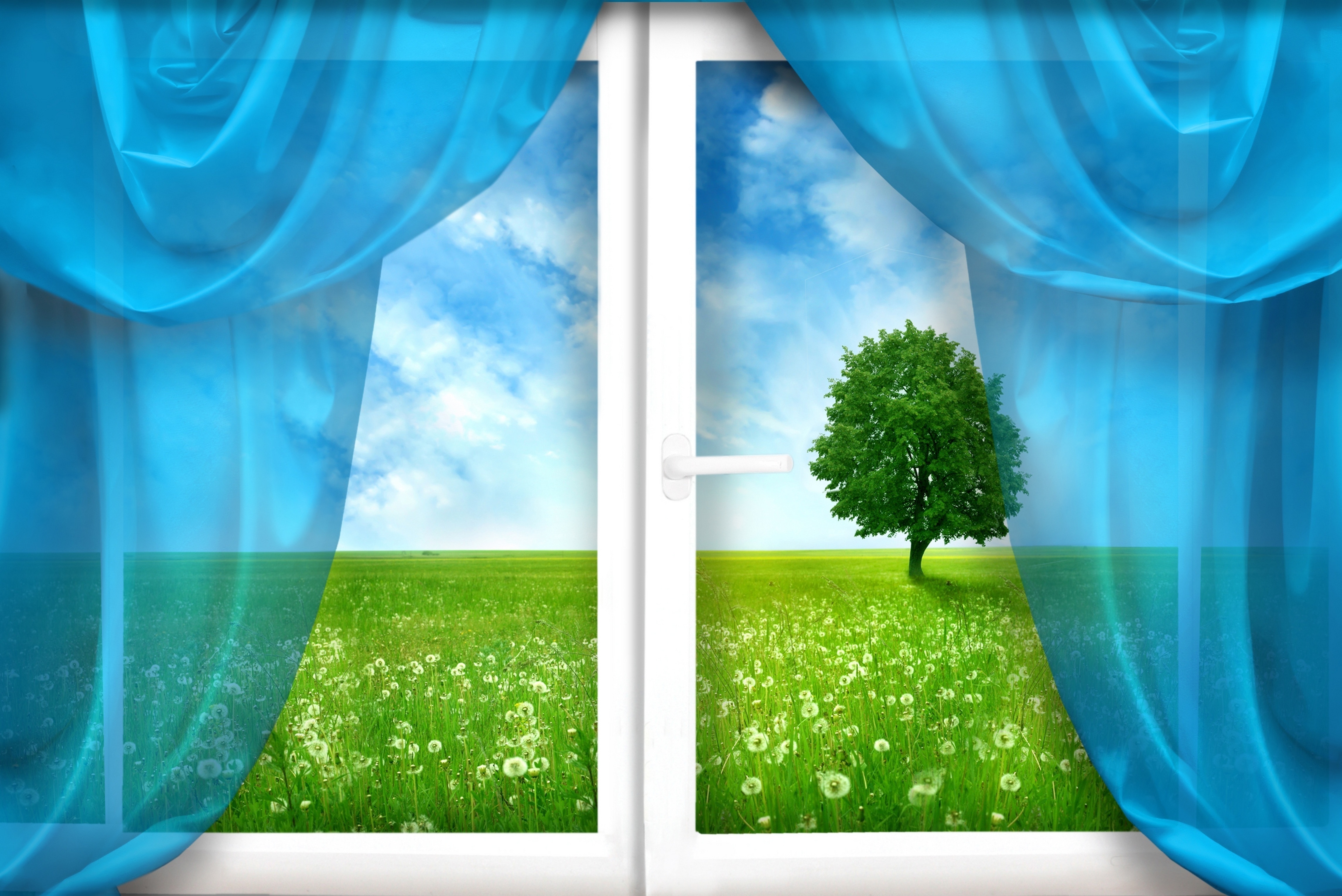 artistic, window, curtain, field, tree