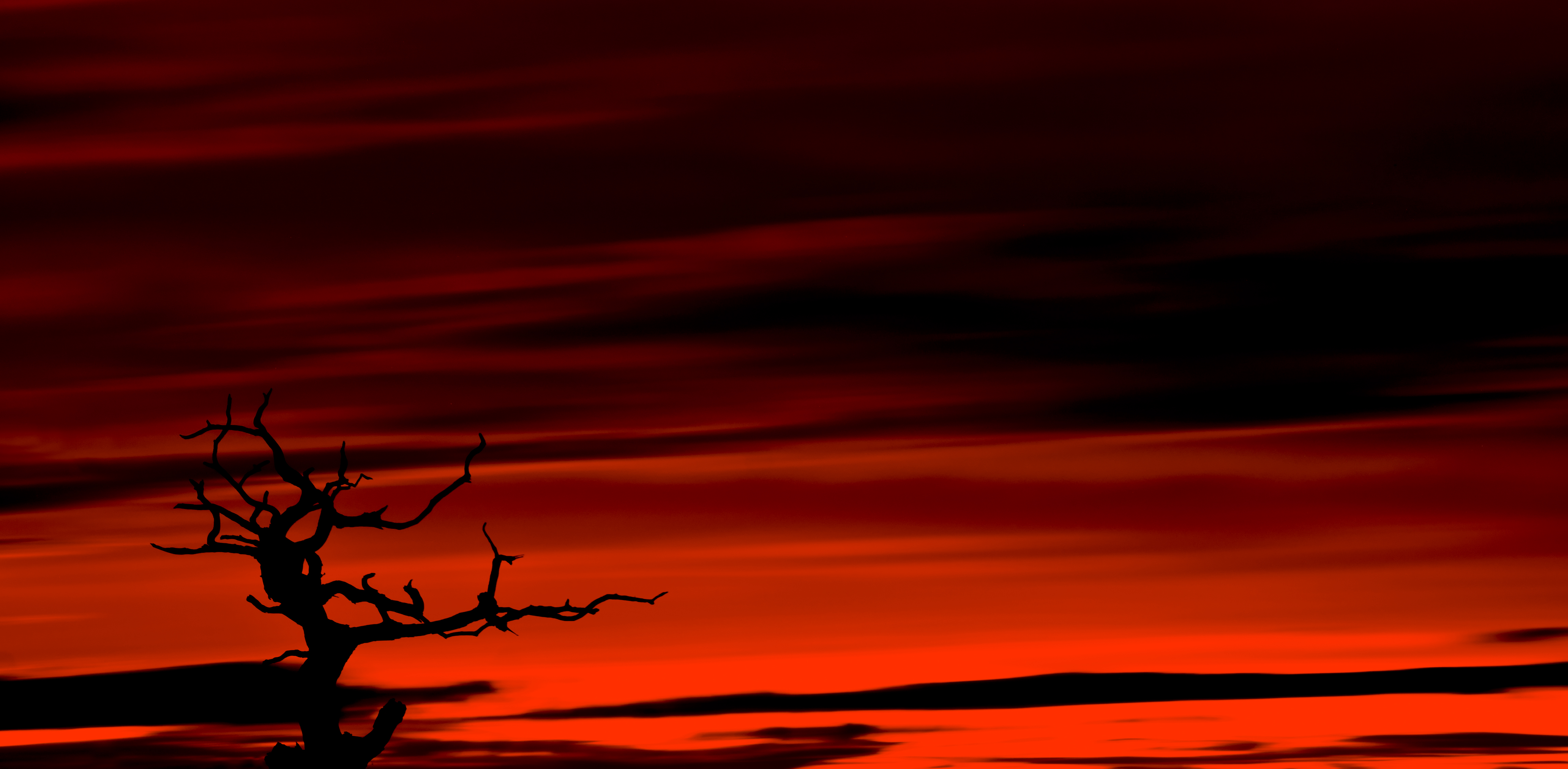 Free download wallpaper Sky, Twilight, Wood, Tree, Dusk, Dark on your PC desktop