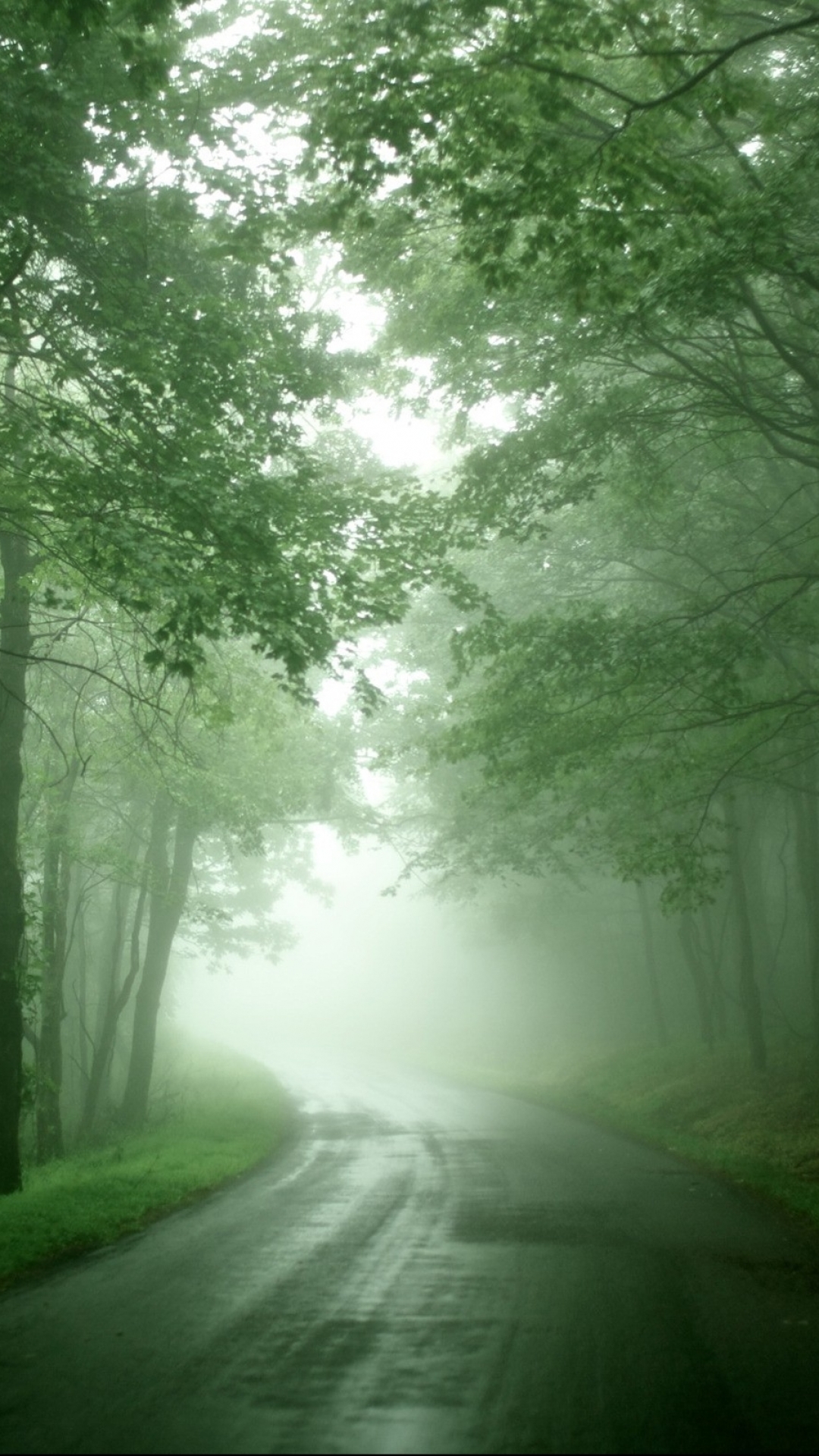 Download mobile wallpaper Nature, Road, Forest, Fog, Earth for free.