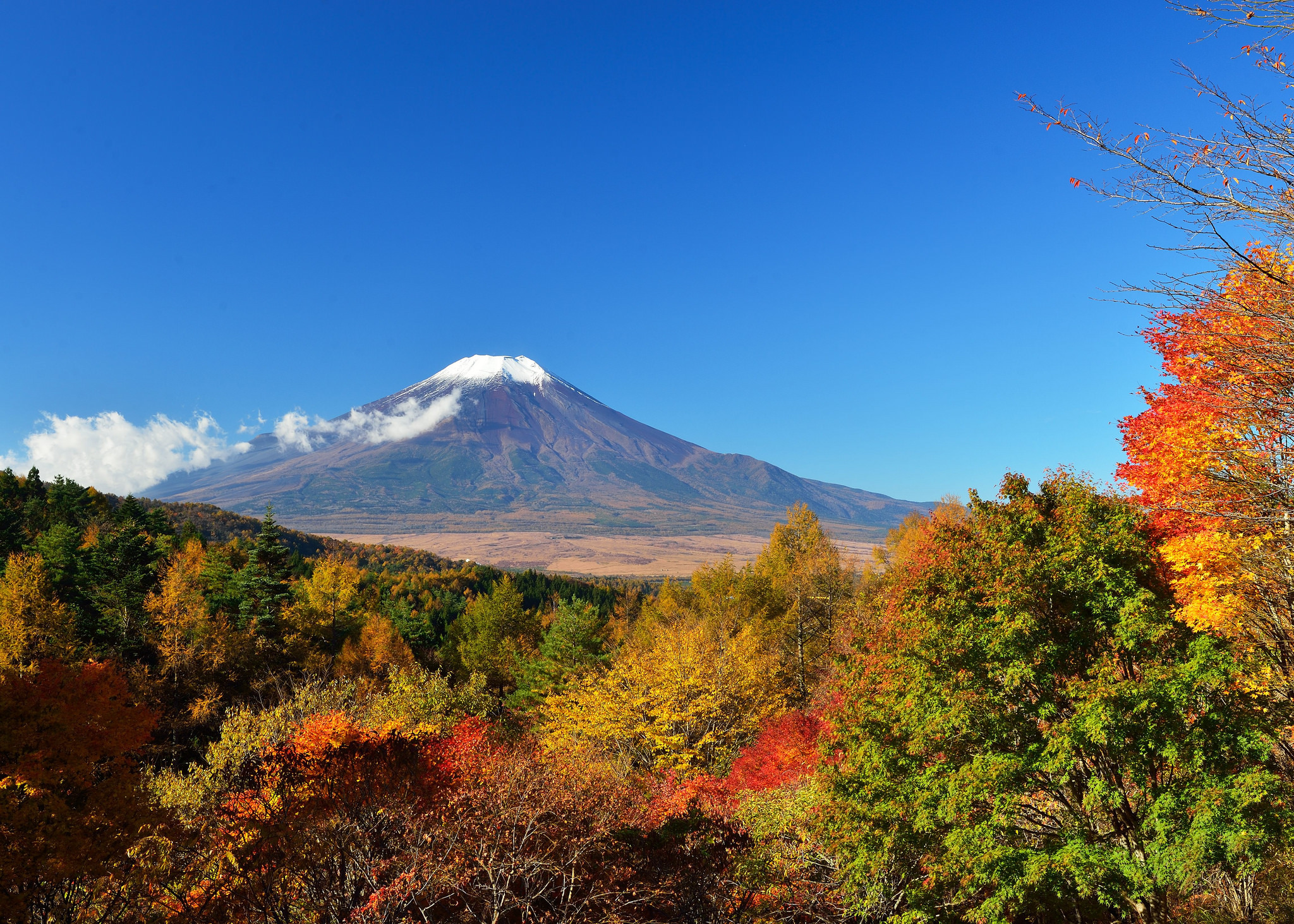 Free download wallpaper Nature, Sky, Tree, Leaf, Fall, Earth, Japan, Volcano, Mount Fuji, Volcanoes on your PC desktop
