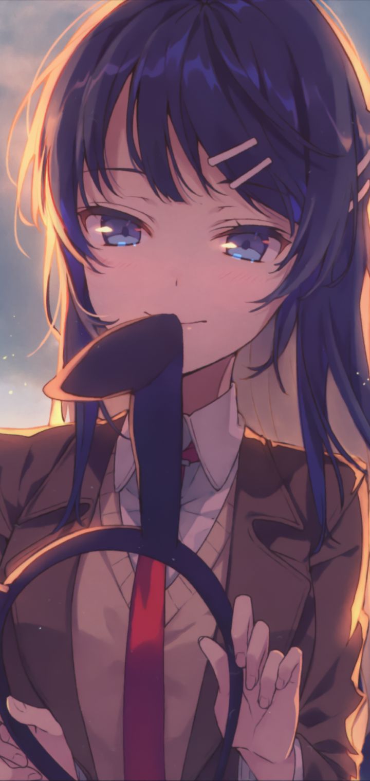 Baixar papel de parede para celular de Anime, Mai Sakurajima, Rascal Does Not Dream Of Bunny Girl Senpai gratuito.