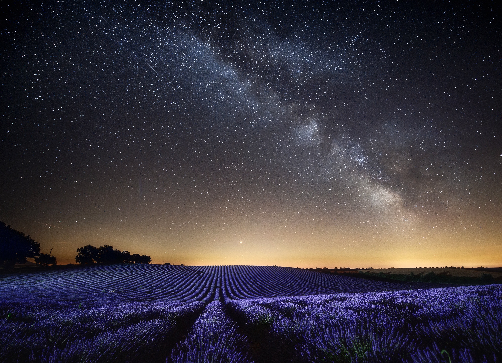 Free download wallpaper Nature, Flowers, Night, Starry Sky, Earth, Field, Lavender on your PC desktop