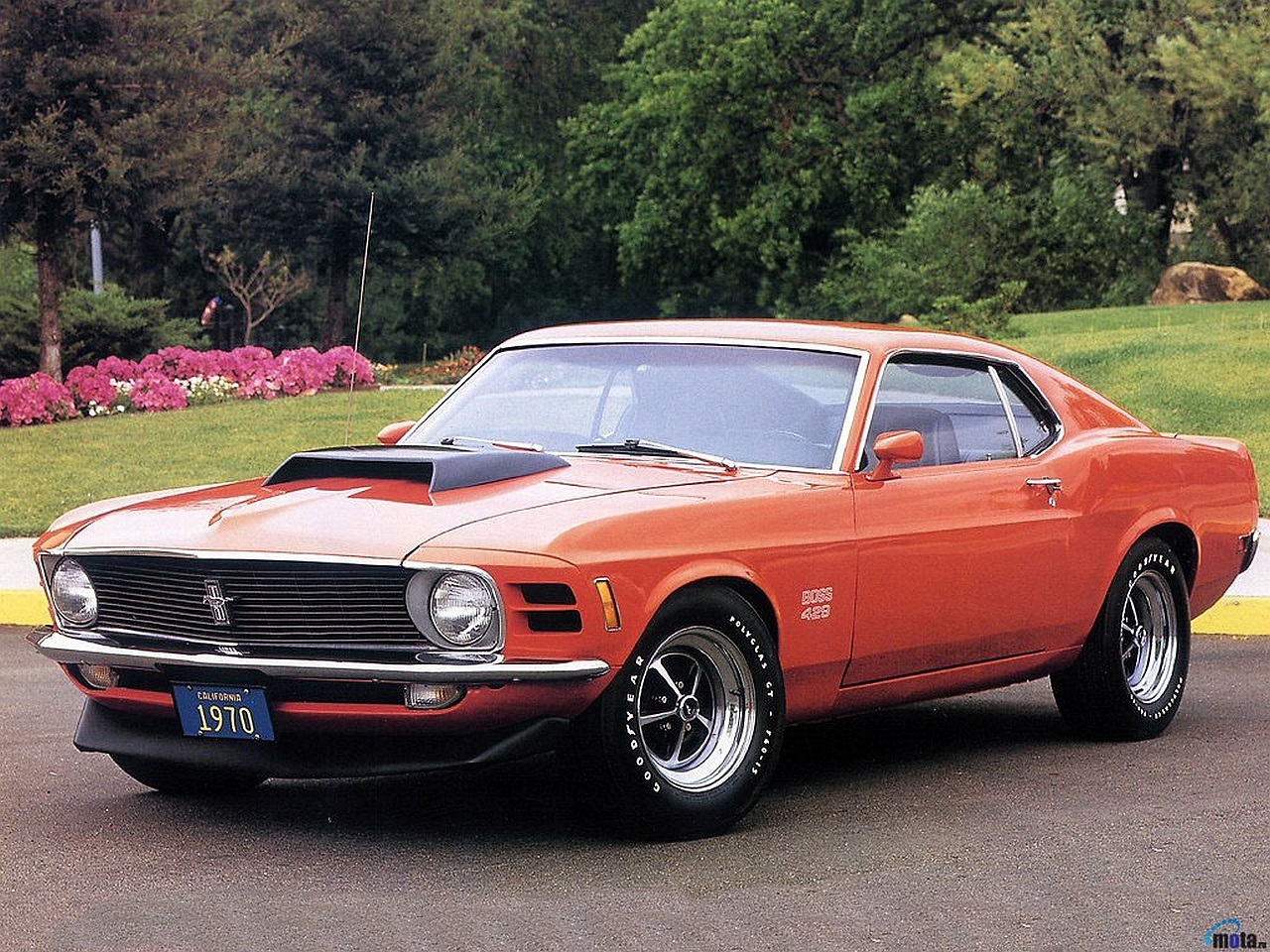 vehicles, ford mustang boss 429