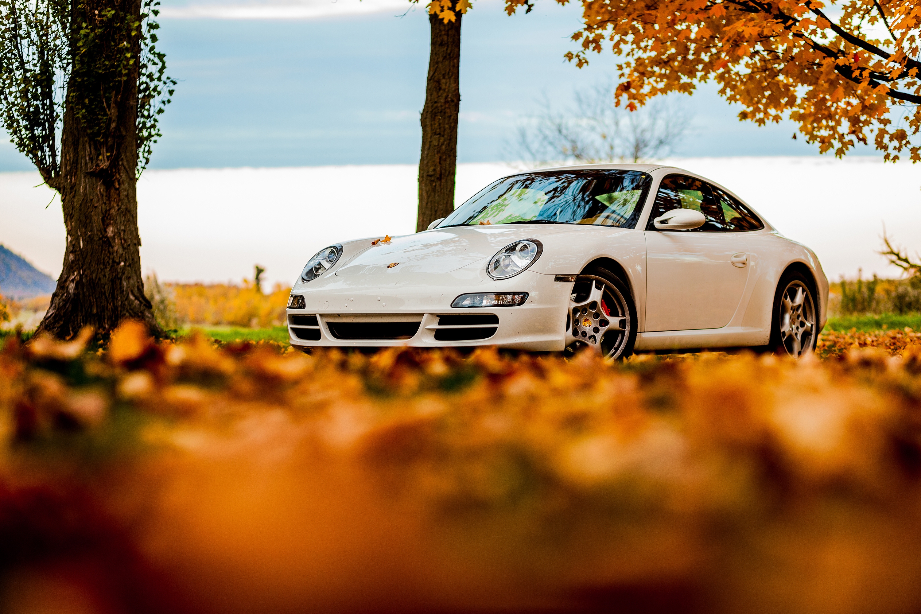 83959 télécharger l'image porsche, voitures, arbres, sky, automne, feuilles, blanc, 911 - fonds d'écran et économiseurs d'écran gratuits