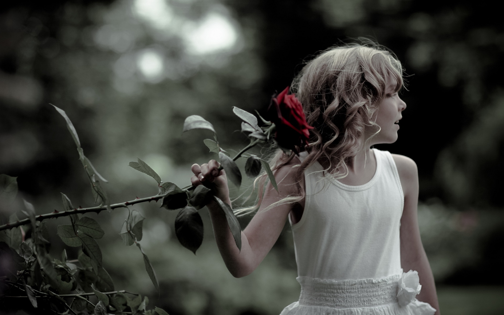 Download mobile wallpaper Rose, Mood, Child, Photography for free.