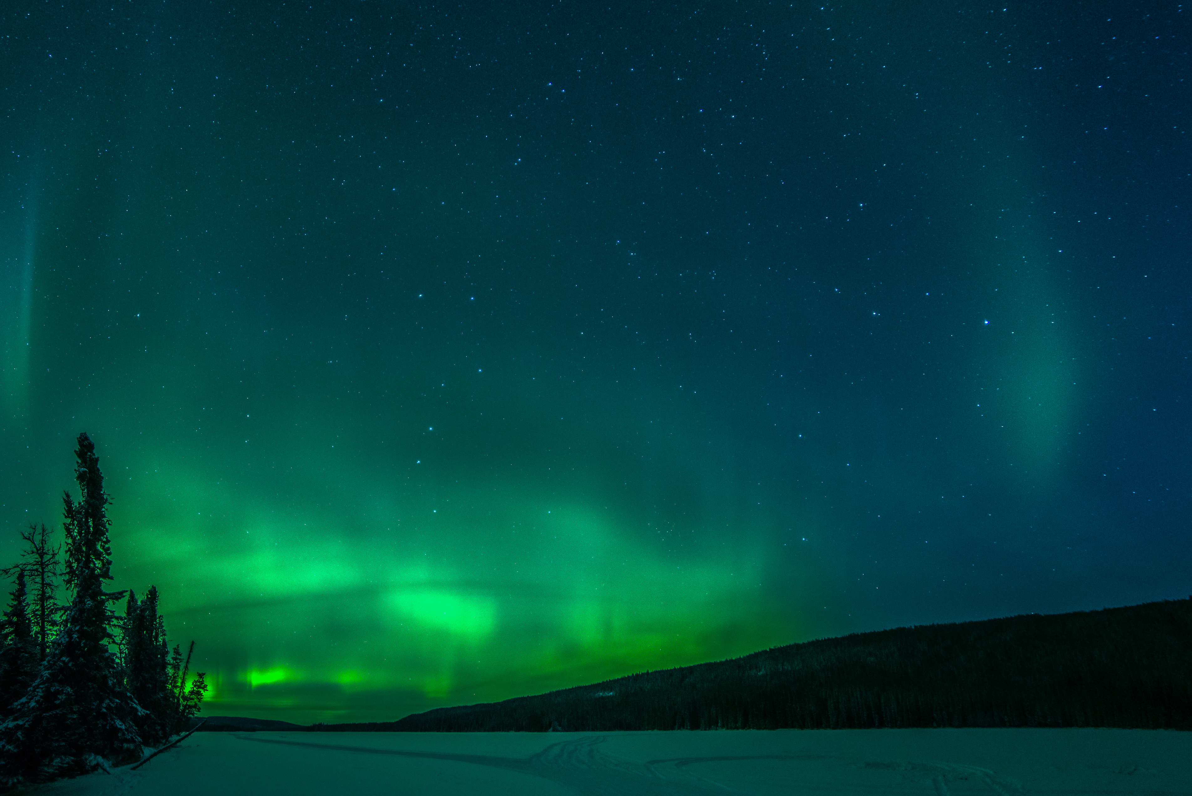 80801 Hintergrundbild herunterladen nordlichter, winter, natur, bäume, schnee, aurora borealis - Bildschirmschoner und Bilder kostenlos
