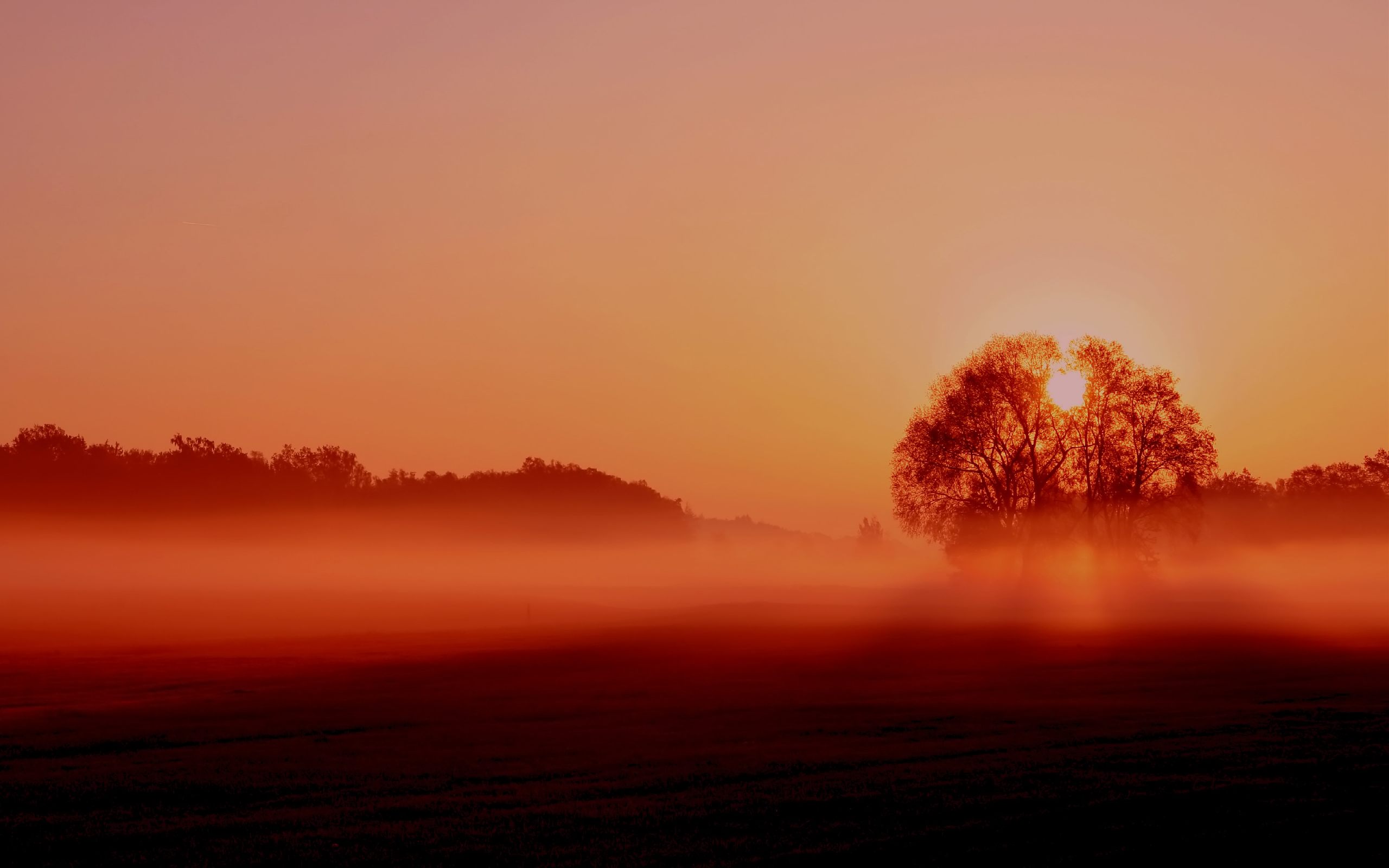 Descarga gratuita de fondo de pantalla para móvil de Amanecer, Tierra/naturaleza.