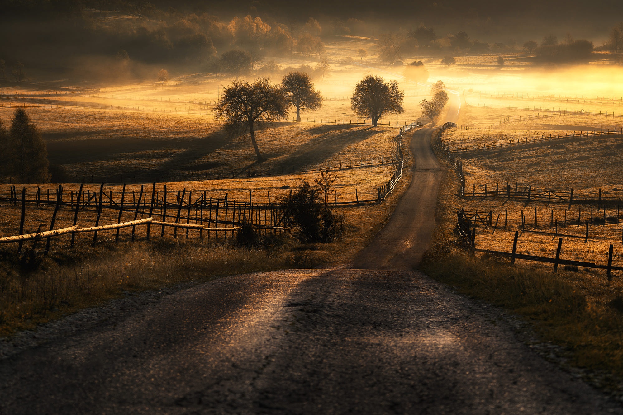 Free download wallpaper Landscape, Nature, Road, Fog, Man Made on your PC desktop