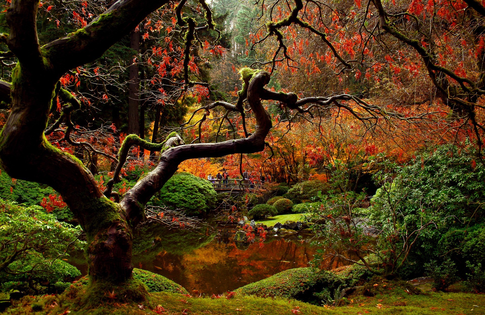 Скачать обои бесплатно Сделано Человеком, Японский Сад картинка на рабочий стол ПК