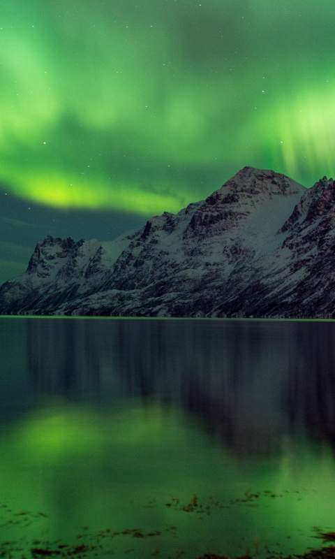 Descarga gratuita de fondo de pantalla para móvil de Noche, Nieve, Aurora Boreal, Tierra/naturaleza.