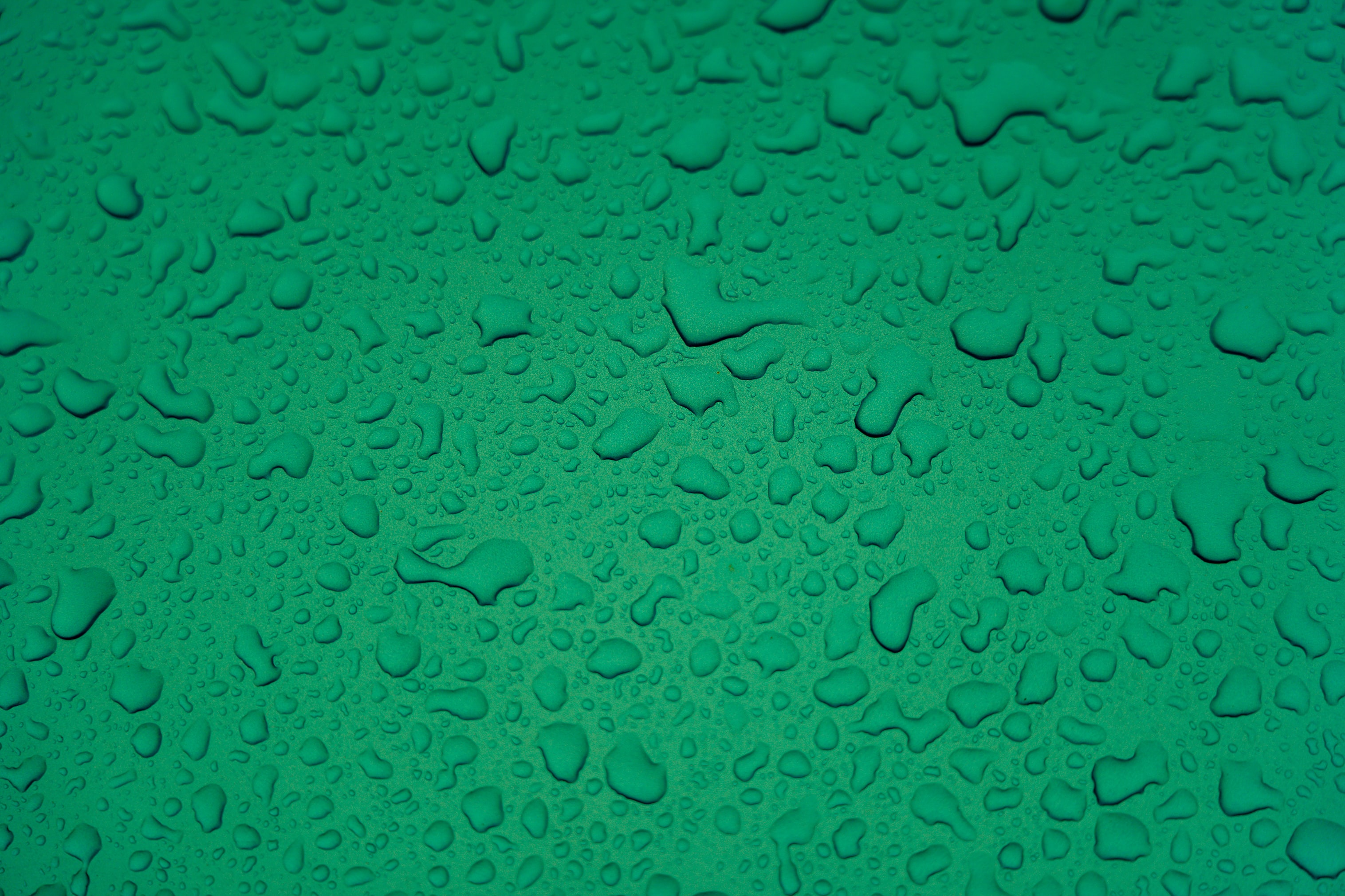 Скачать обои бесплатно Зеленый, Макро, Вода, Мокрый, Капли, Поверхность картинка на рабочий стол ПК