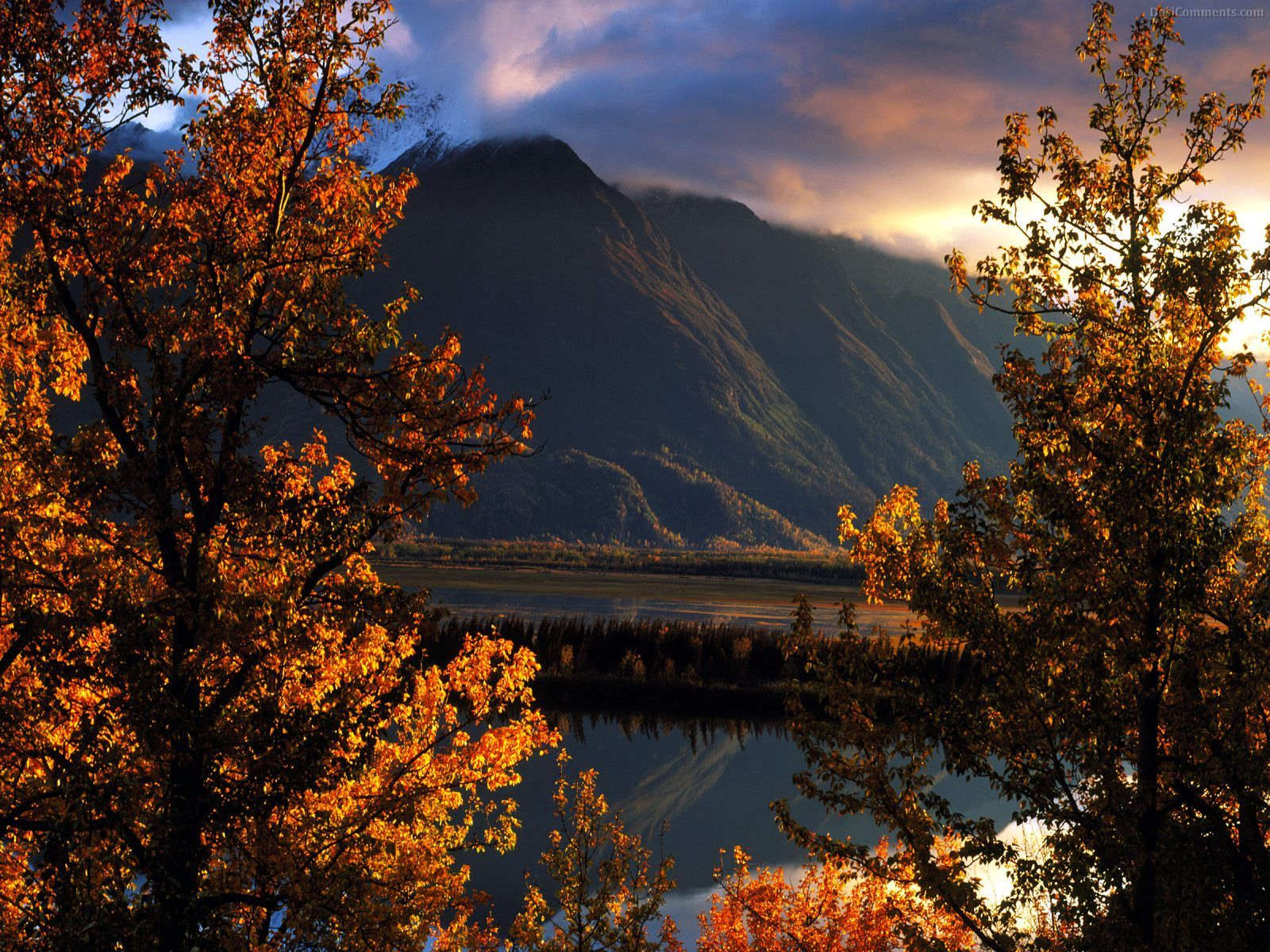 Baixe gratuitamente a imagem Paisagem, Outono, Lago, Árvore, Cores, Terra/natureza na área de trabalho do seu PC