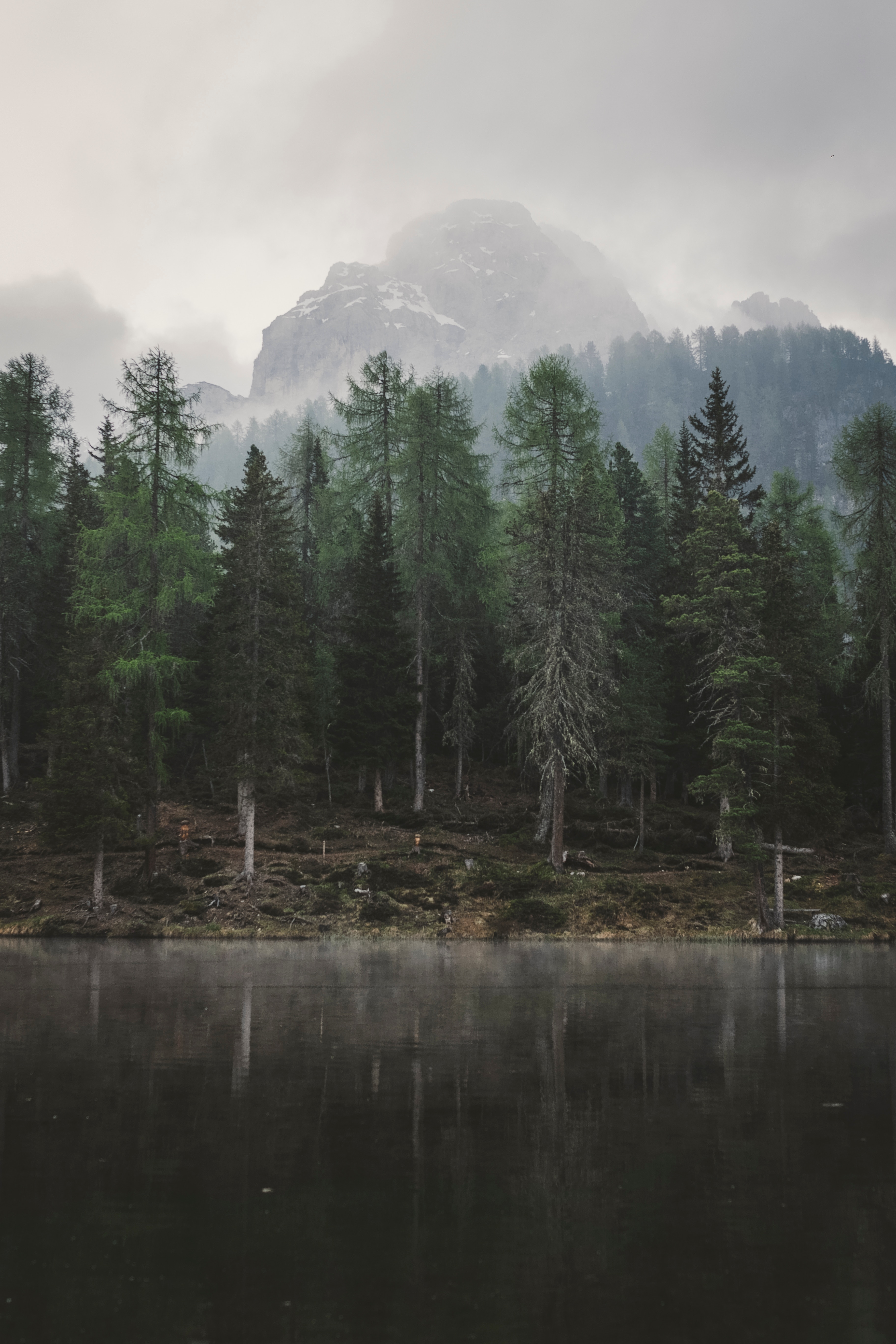 Download mobile wallpaper Fog, Lake, Mountains, Nature, Trees, Landscape for free.