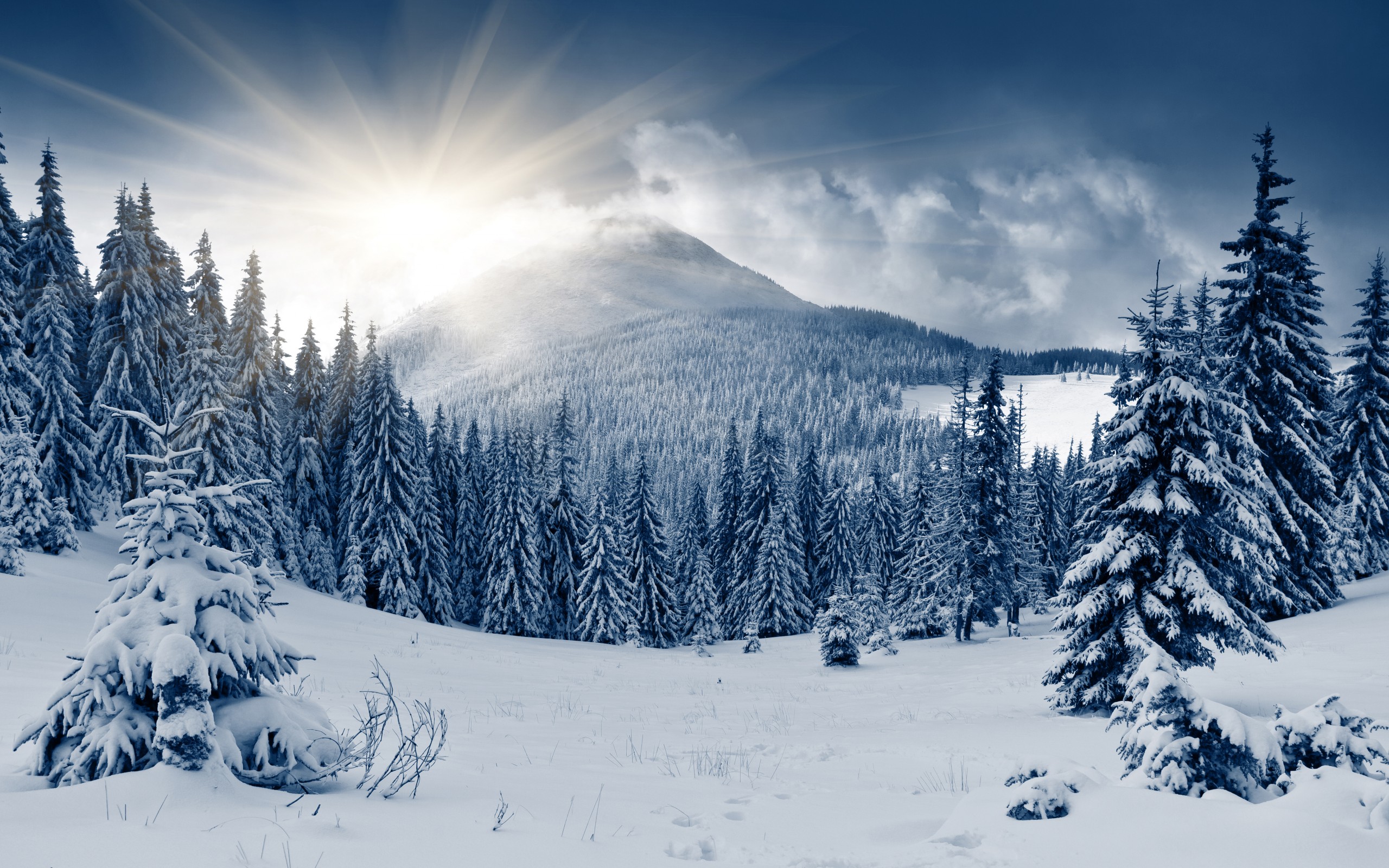 Free download wallpaper Winter, Earth on your PC desktop