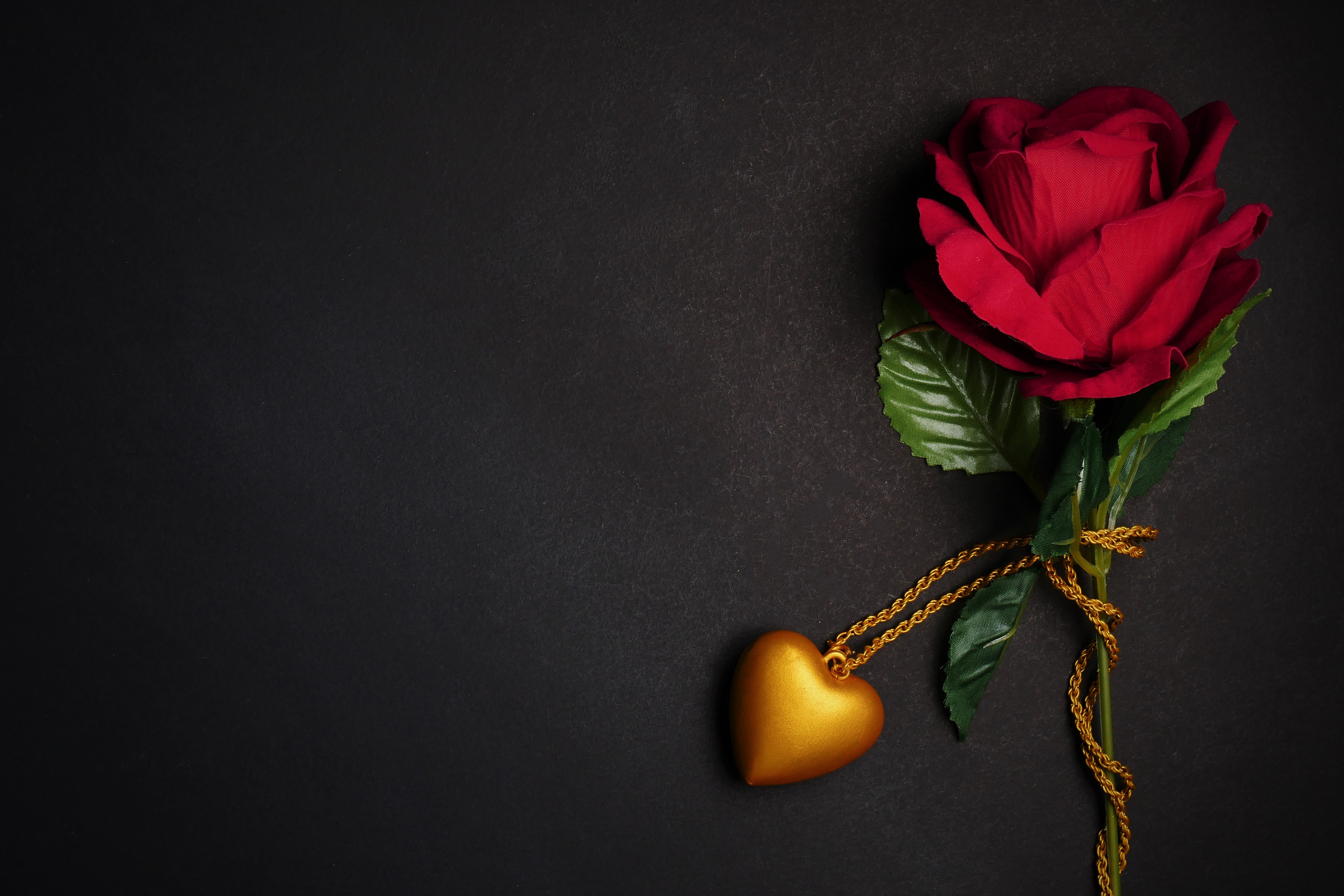 Скачать картинку Любовь, Красная Роза, Художественные, Красный Цветок в телефон бесплатно.