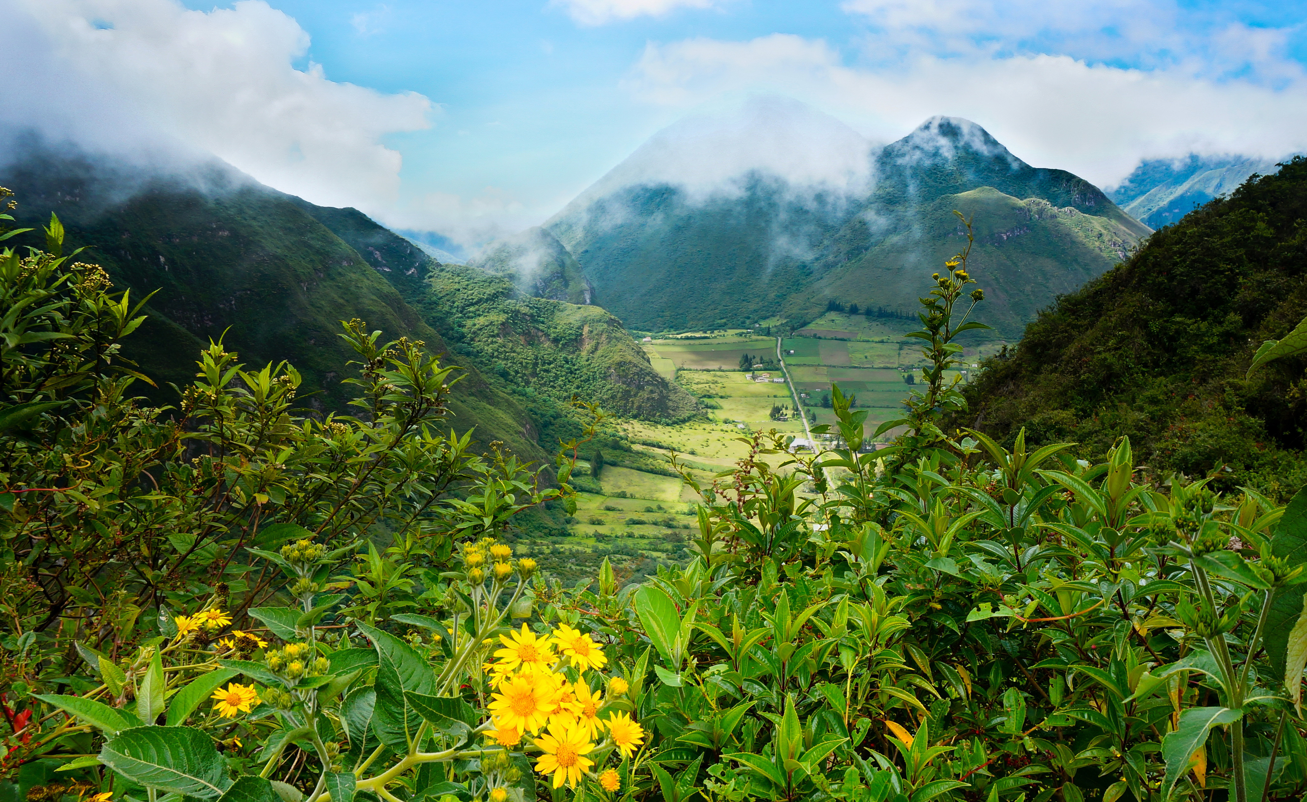 746350 завантажити картинку земля, пейзаж, еквадор, квітка, туман, гора - шпалери і заставки безкоштовно