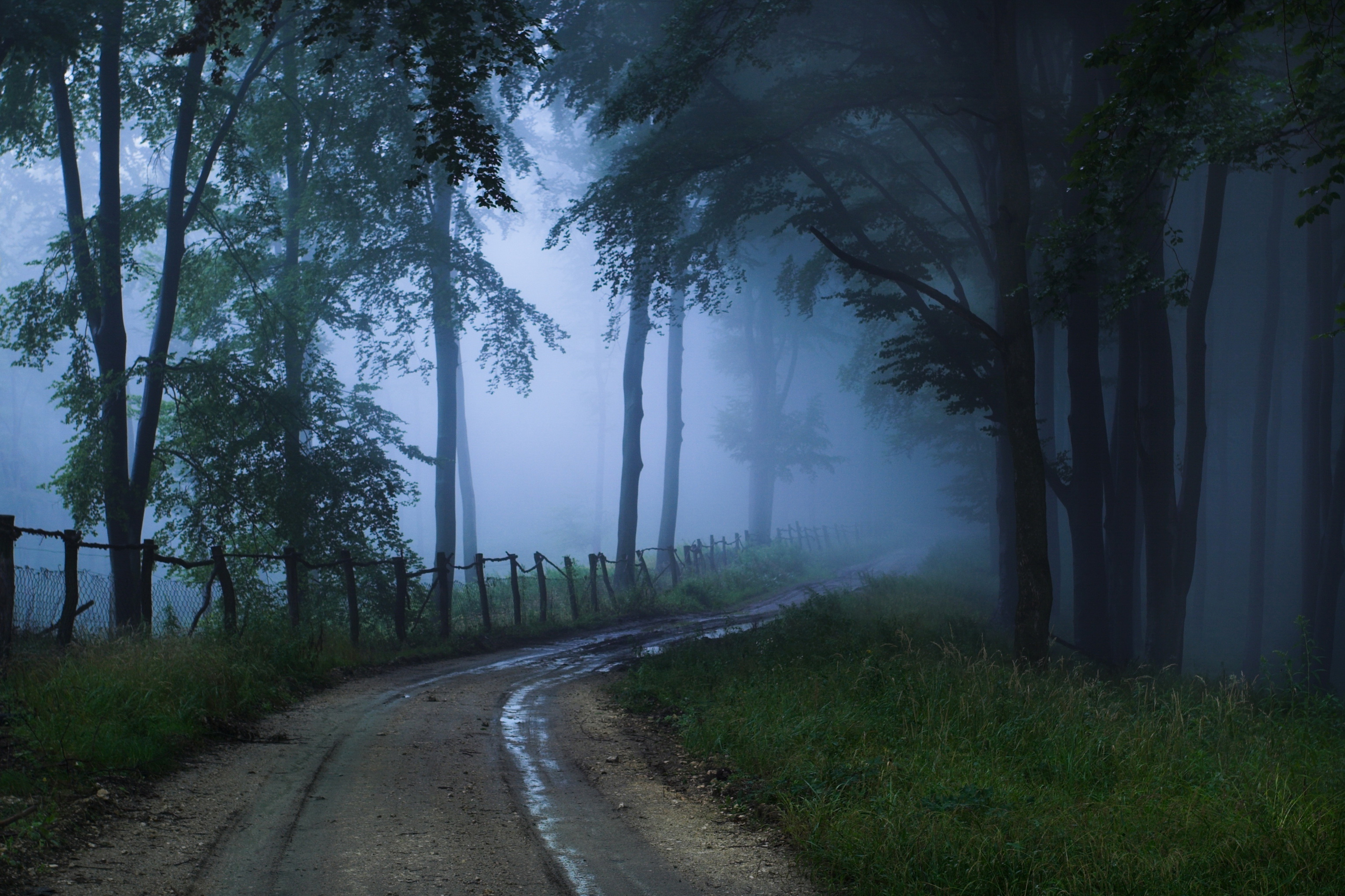 Descarga gratuita de fondo de pantalla para móvil de Niebla, Tierra/naturaleza.