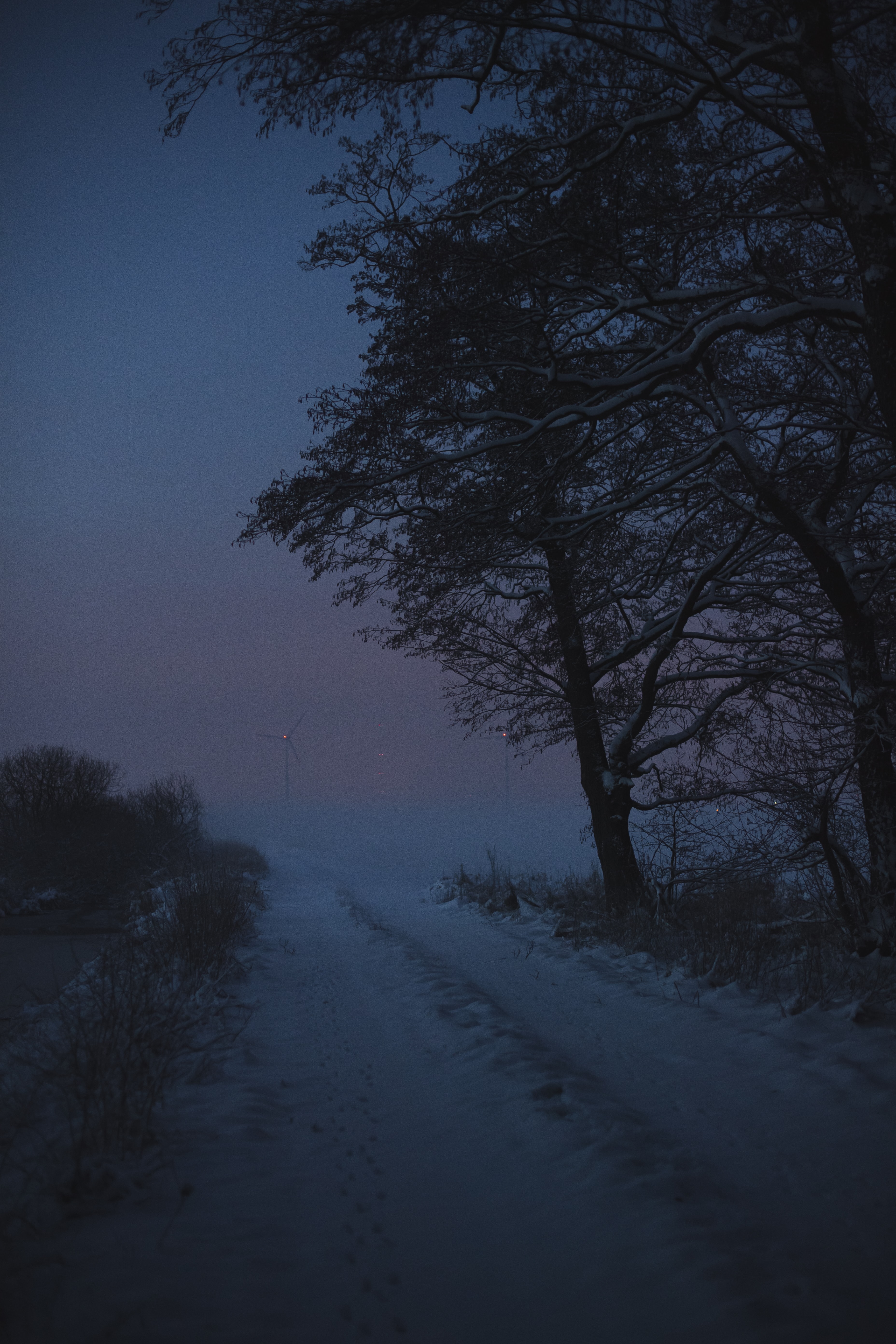 Descarga gratis la imagen Invierno, Crepúsculo, Nieve, Camino, Oscuridad, Naturaleza, Árboles en el escritorio de tu PC