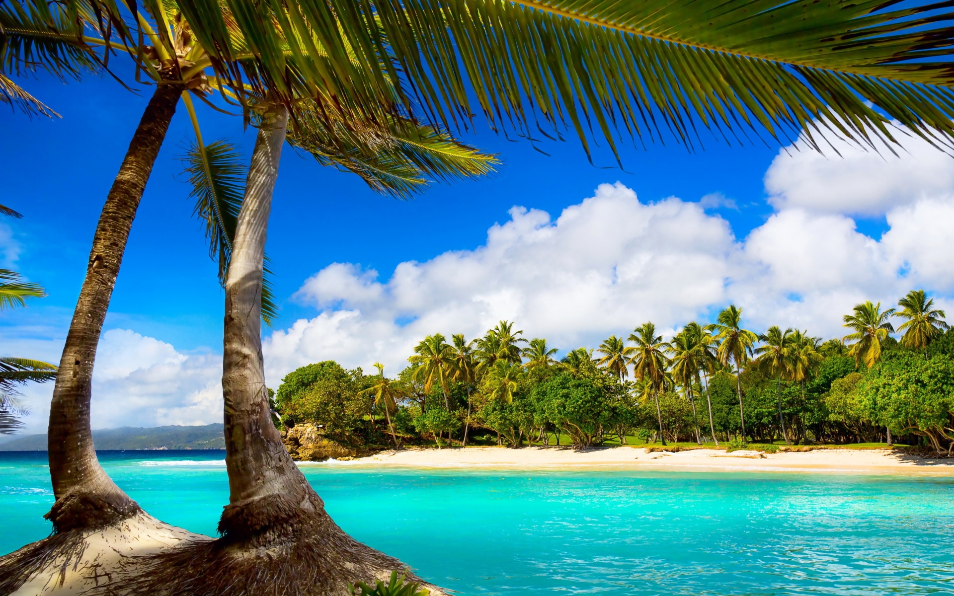 Baixe gratuitamente a imagem Tropical, Fotografia, Paisagem Marinha na área de trabalho do seu PC