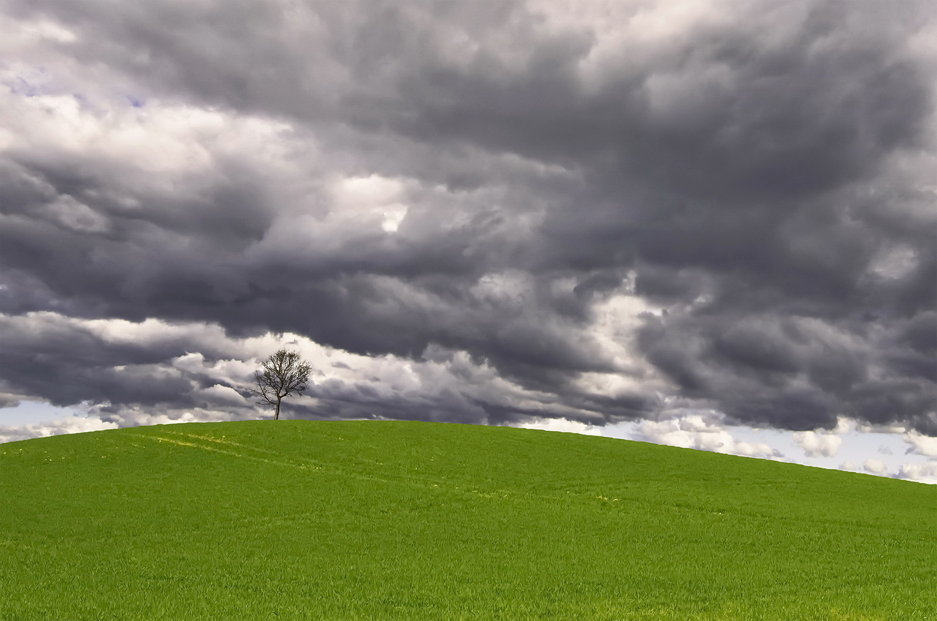 Download mobile wallpaper Nature, Grass, Tree, Earth, Field, Hill, Cloud, Lonely Tree for free.