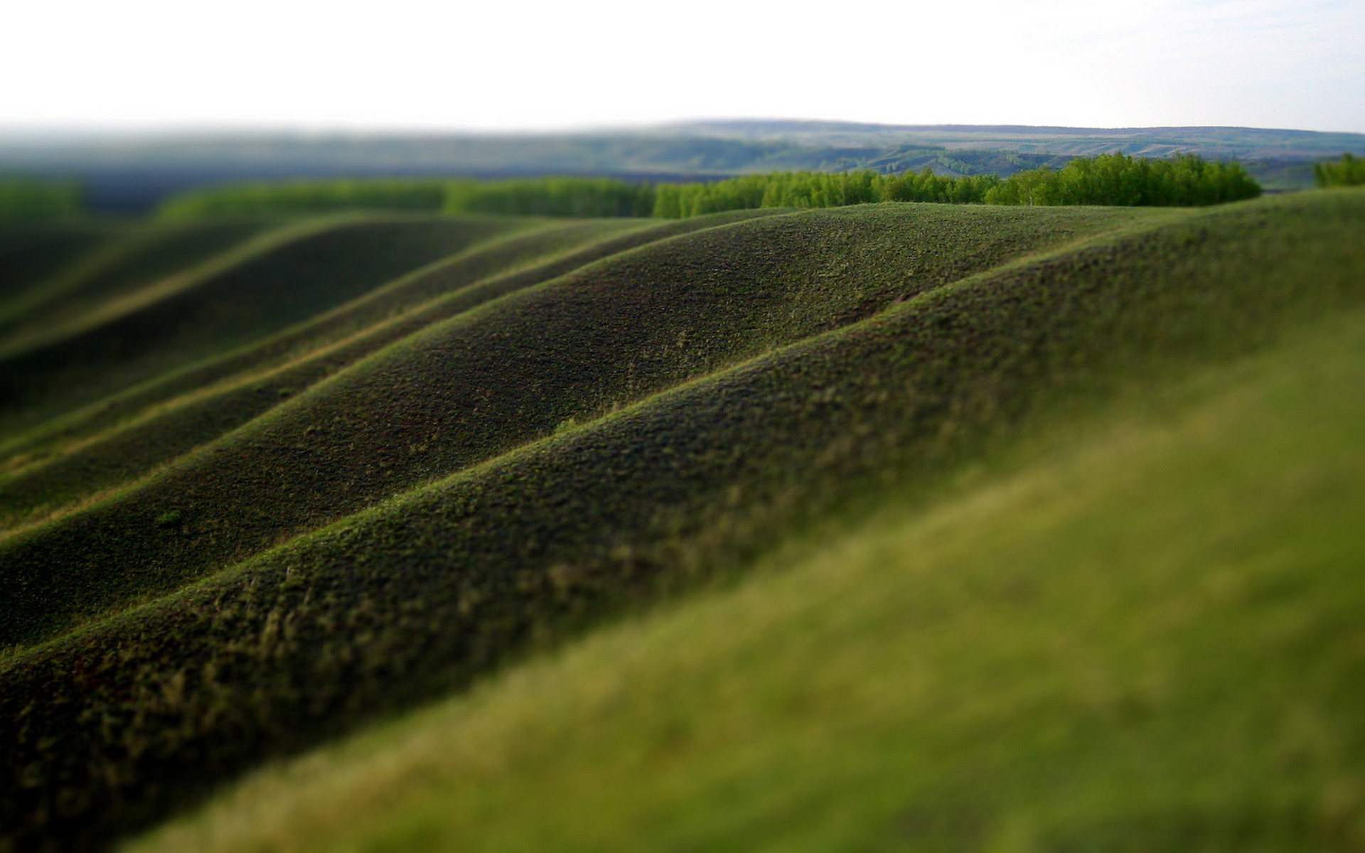 Descarga gratis la imagen Paisaje, Tierra/naturaleza en el escritorio de tu PC