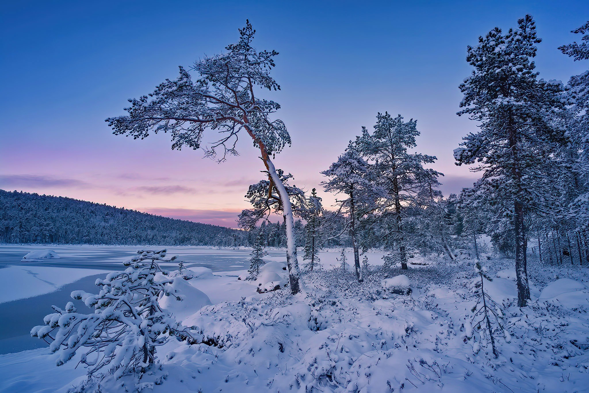 Baixe gratuitamente a imagem Inverno, Neve, Árvore, Terra/natureza na área de trabalho do seu PC