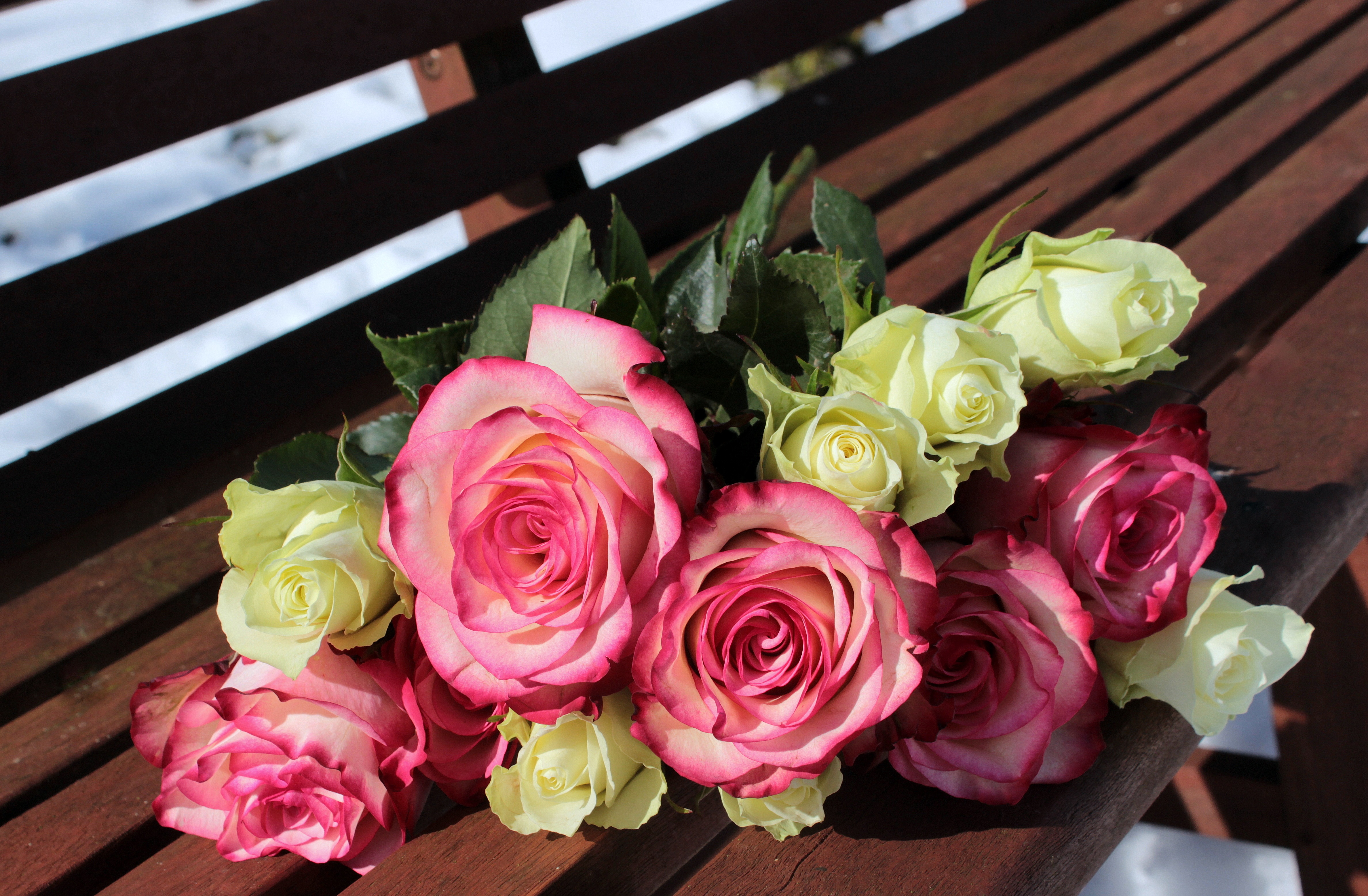 Free download wallpaper Flowers, Bouquet, Buds, Roses, Bench on your PC desktop