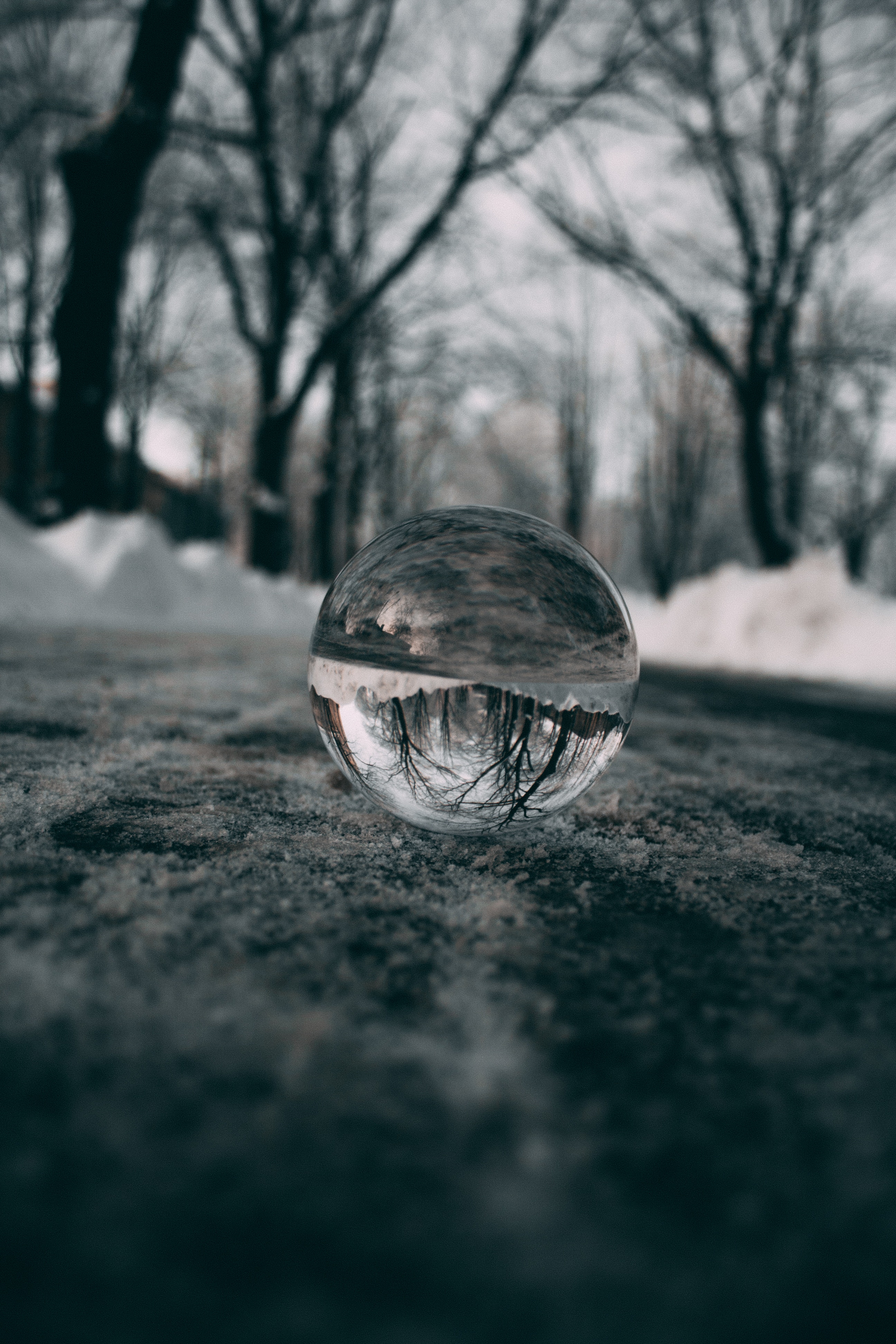 blur, ball, smooth, trees, snow, reflection, macro, glass