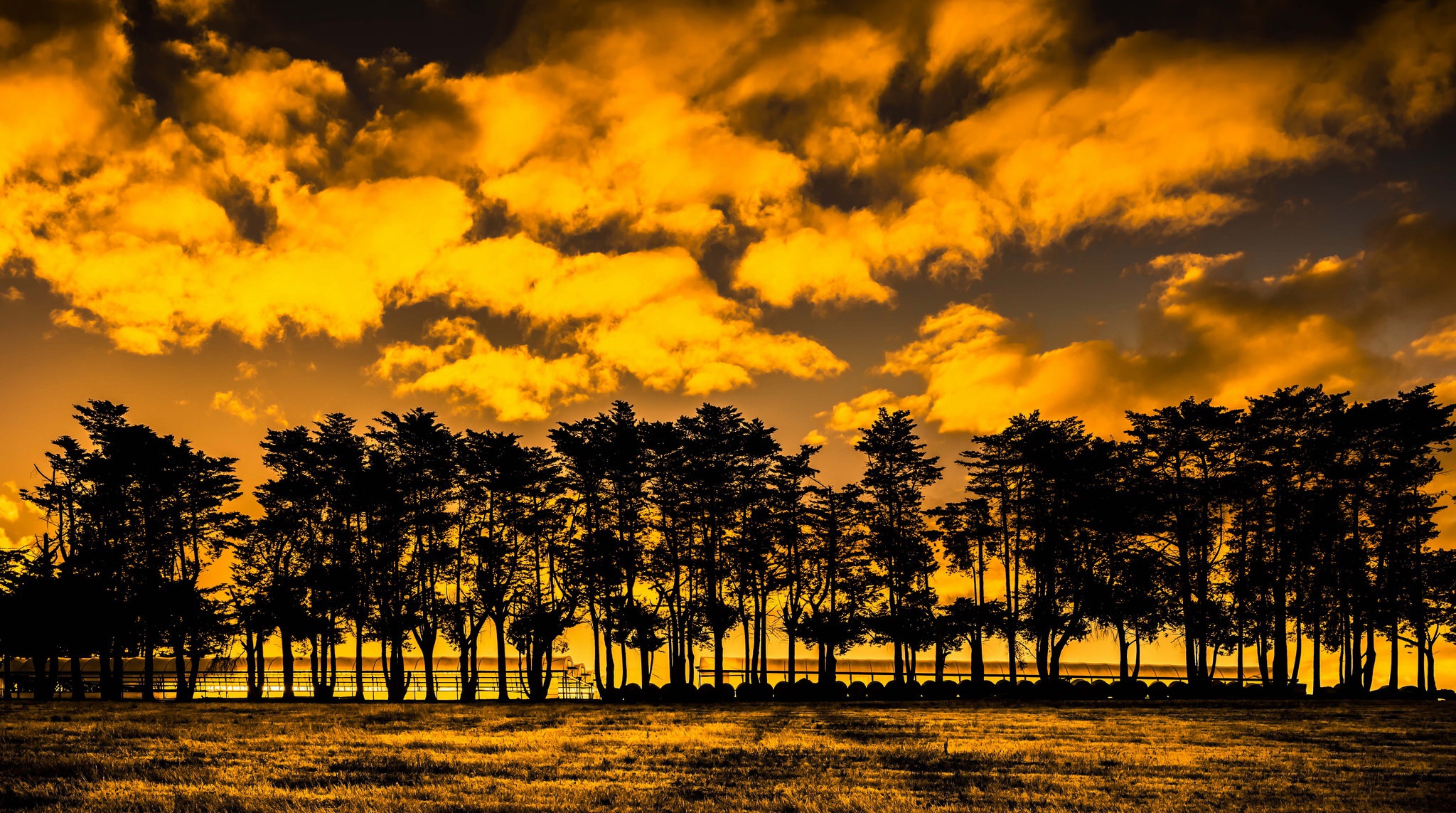 Descarga gratis la imagen Naturaleza, Silueta, Árbol, Nube, Atardecer, Tierra/naturaleza en el escritorio de tu PC