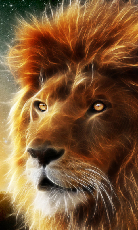 Téléchargez des papiers peints mobile Animaux, Chats, Lion gratuitement.