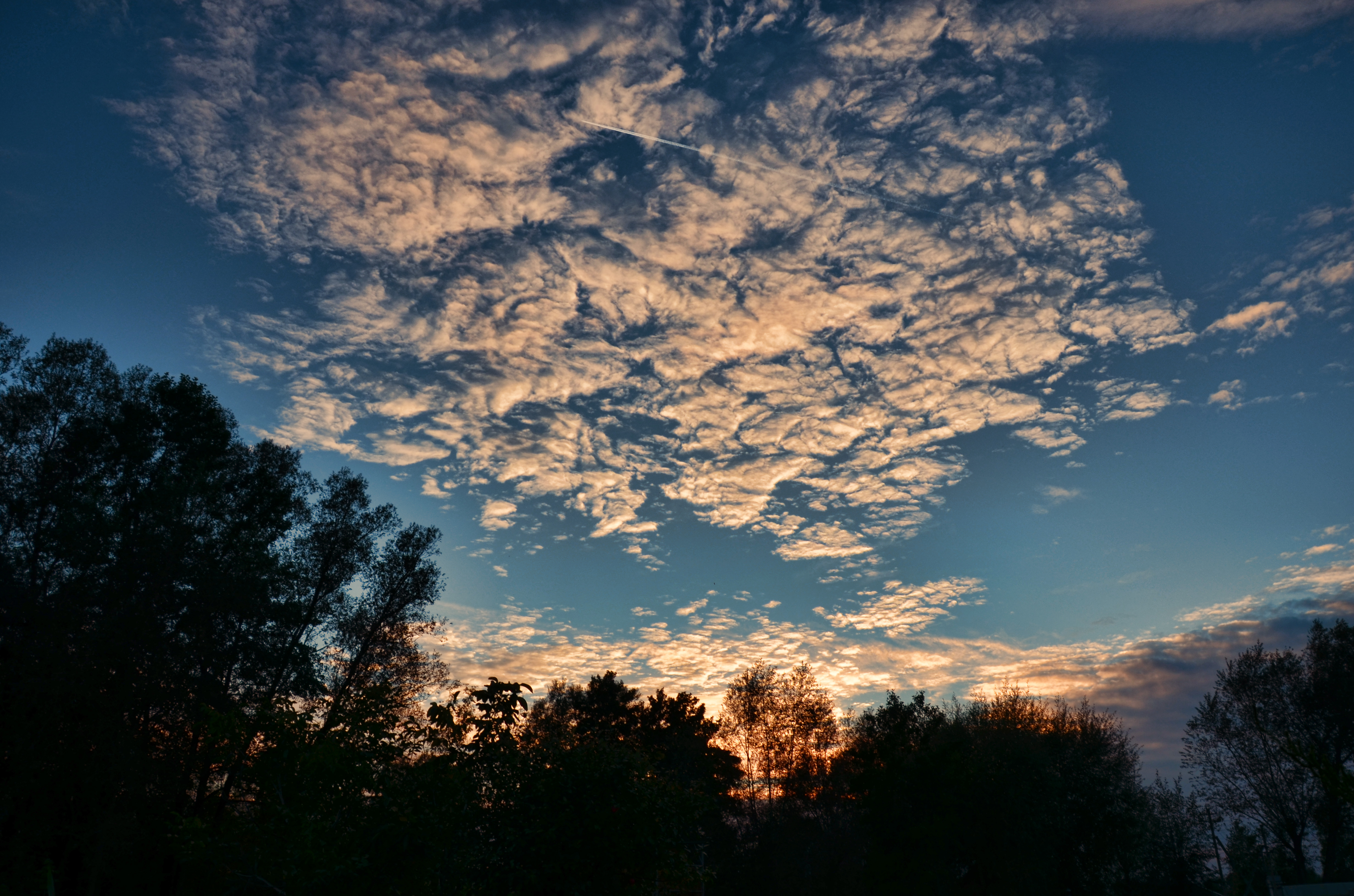 Descarga gratuita de fondo de pantalla para móvil de Tierra/naturaleza, Cielo.