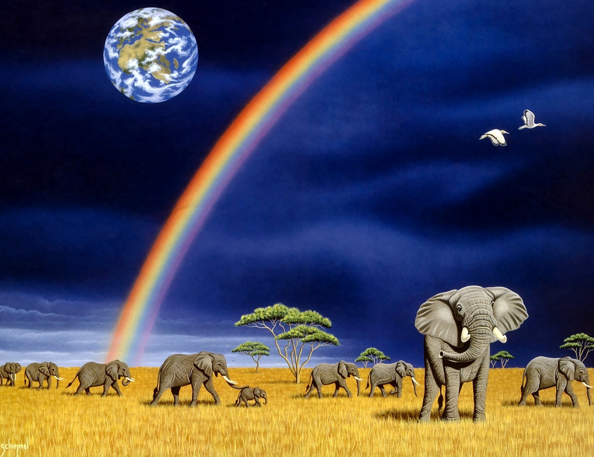 african bush elephant, elephants, animal Smartphone Background