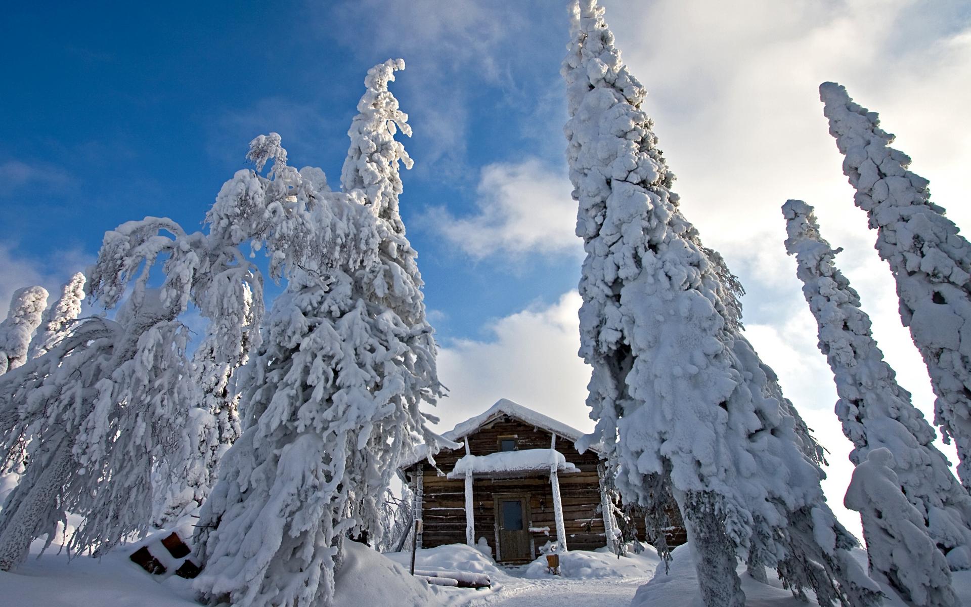 Baixe gratuitamente a imagem Inverno, Neve, Árvore, Terra, Cabana, Feito Pelo Homem na área de trabalho do seu PC