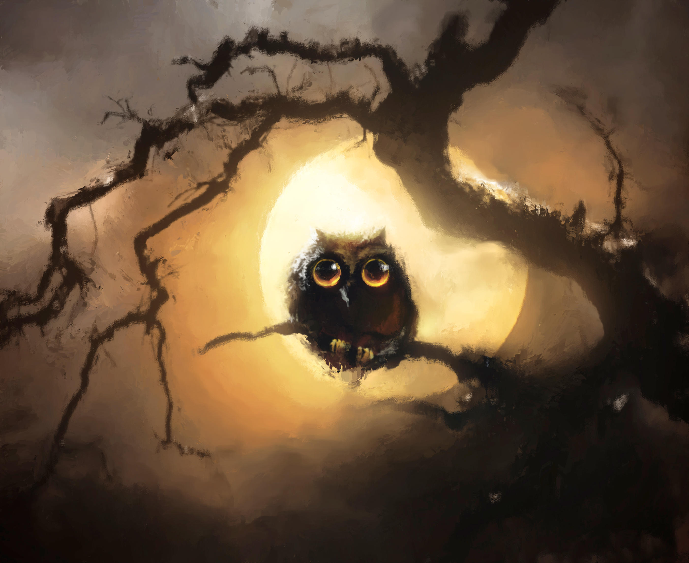 Free download wallpaper Birds, Owl, Moon, Bird, Branch, Animal, Full Moon on your PC desktop