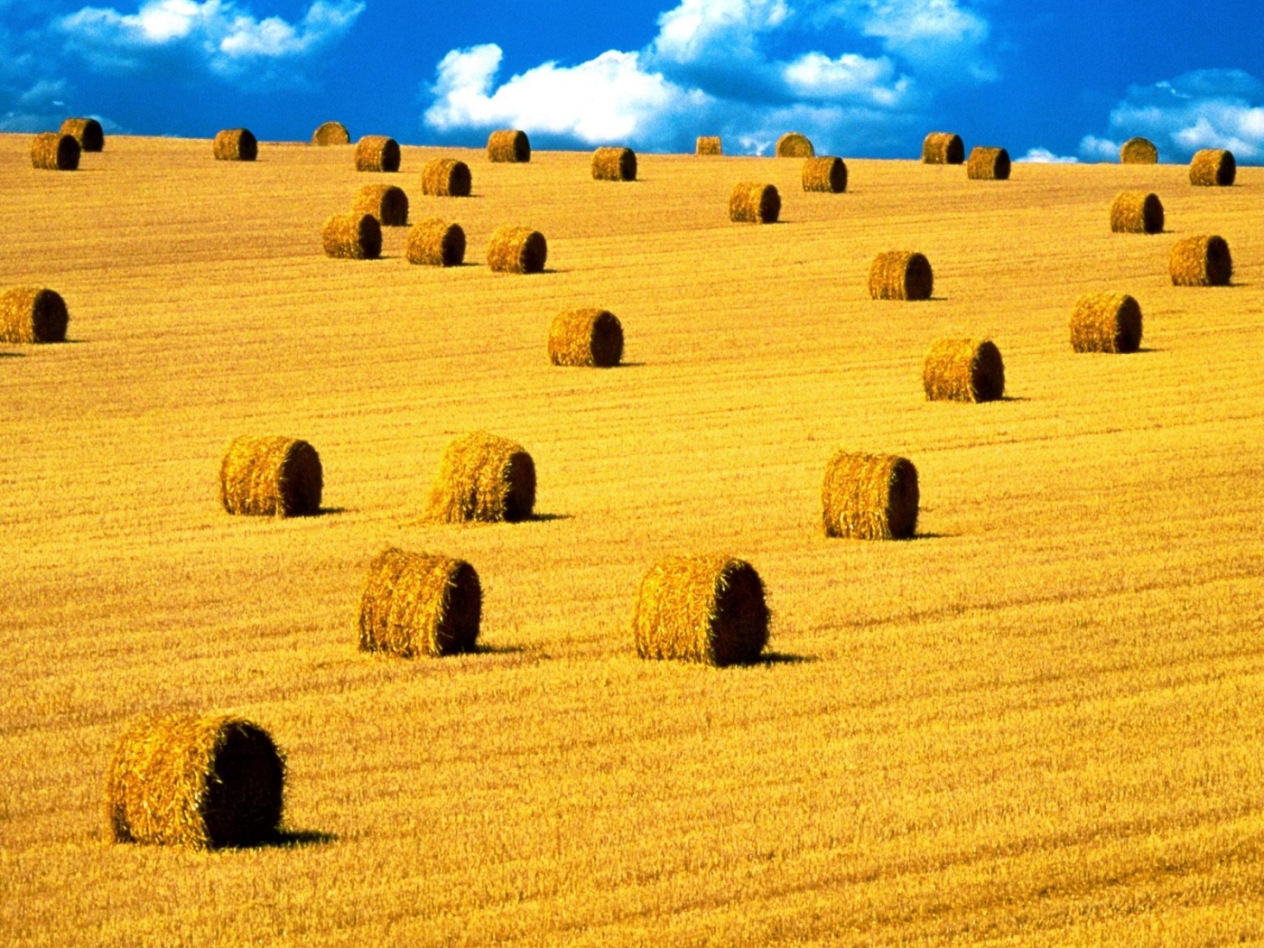 Free download wallpaper Landscape, Fields on your PC desktop