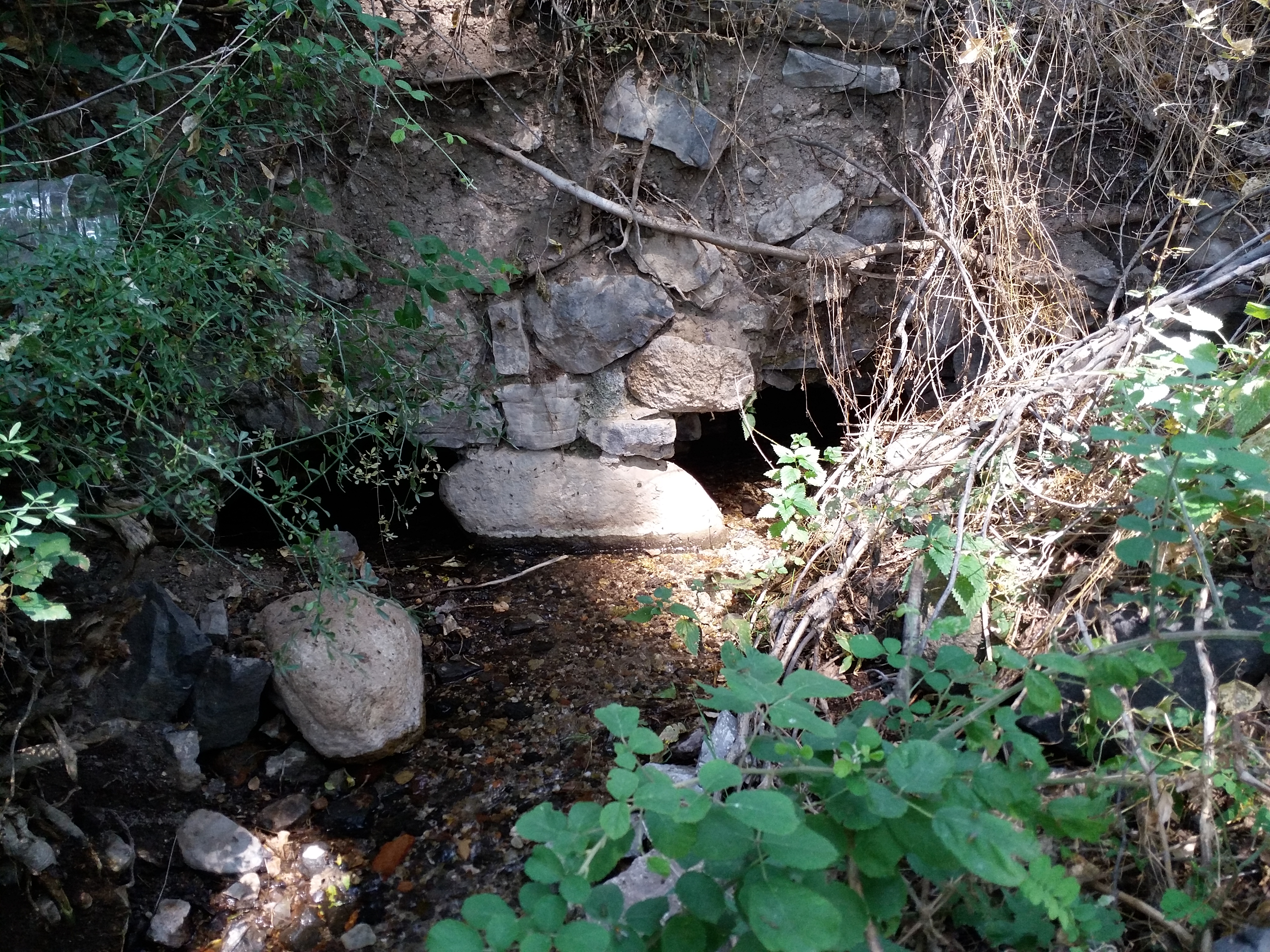 Descarga gratuita de fondo de pantalla para móvil de Chorro, Tierra/naturaleza.