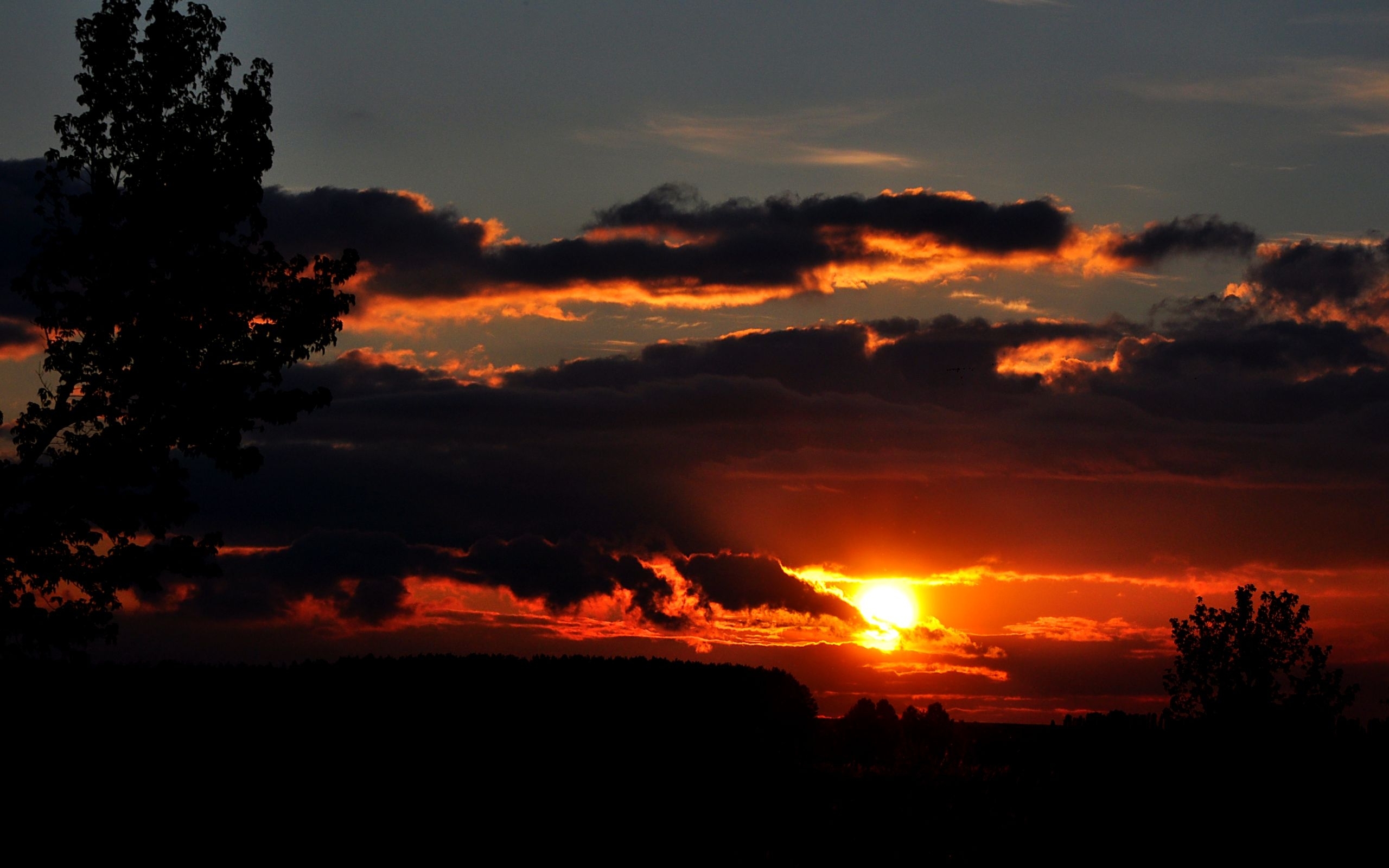 Laden Sie das Sunset, Landschaft-Bild kostenlos auf Ihren PC-Desktop herunter