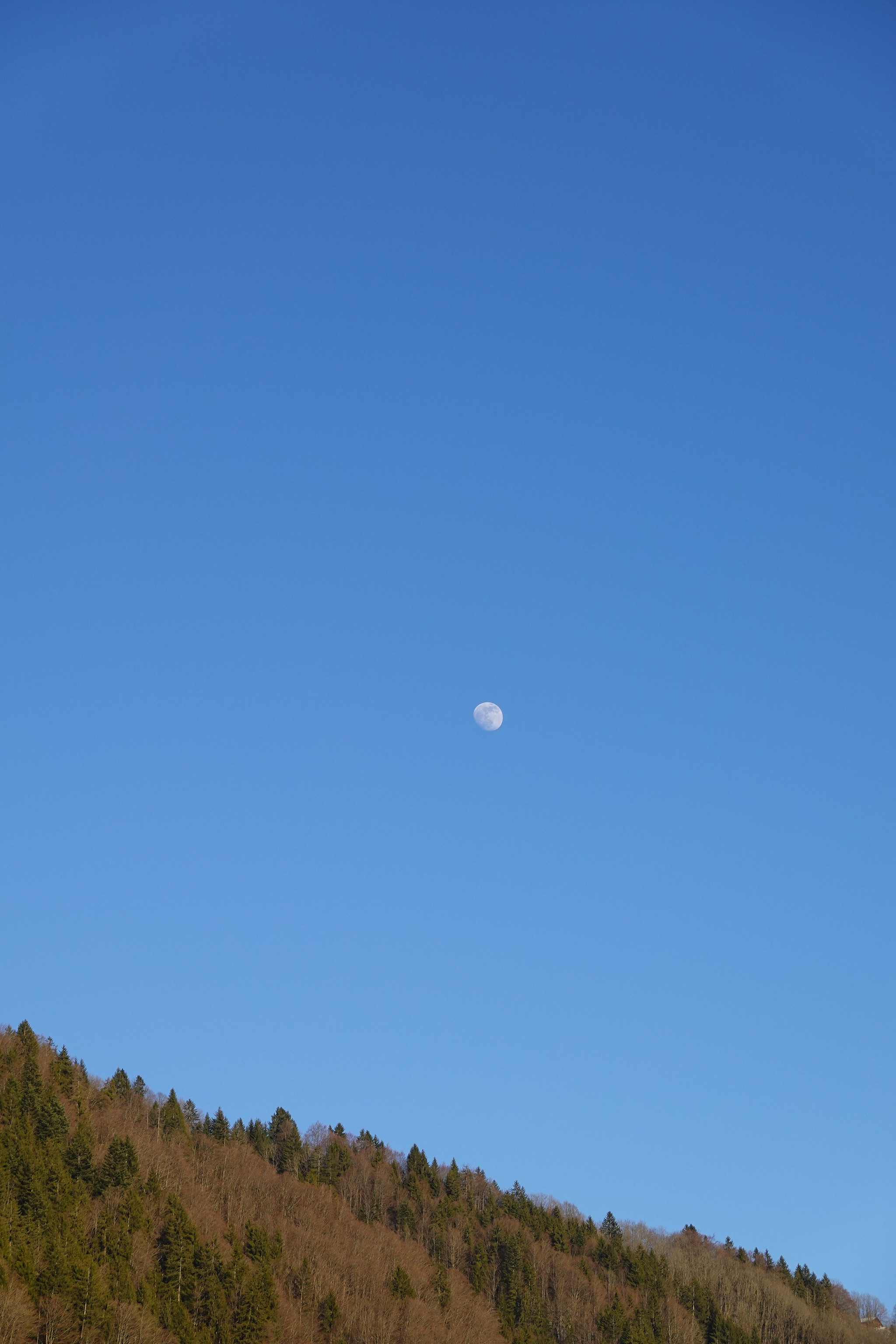 Free download wallpaper Hill, Nature, Forest, Moon, Minimalism on your PC desktop