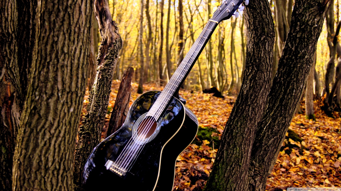 Download mobile wallpaper Guitar, Music for free.