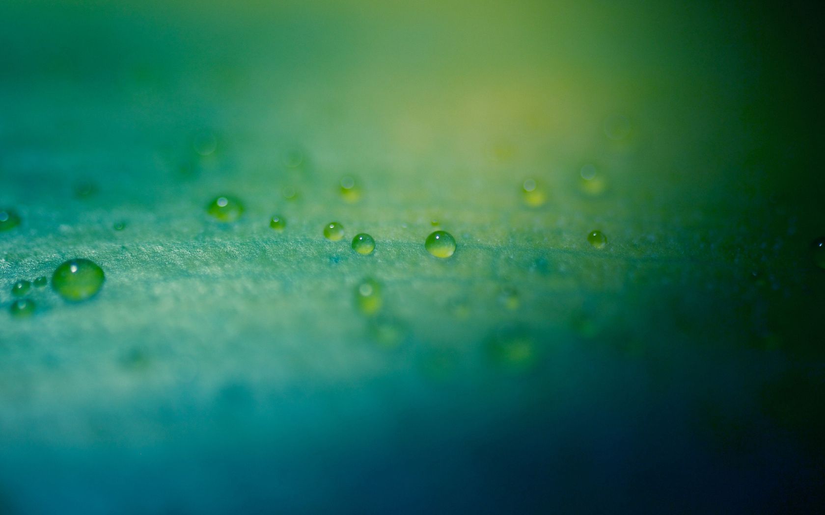 Download mobile wallpaper Macro, Dew, Drops, Shine, Light, Surface for free.