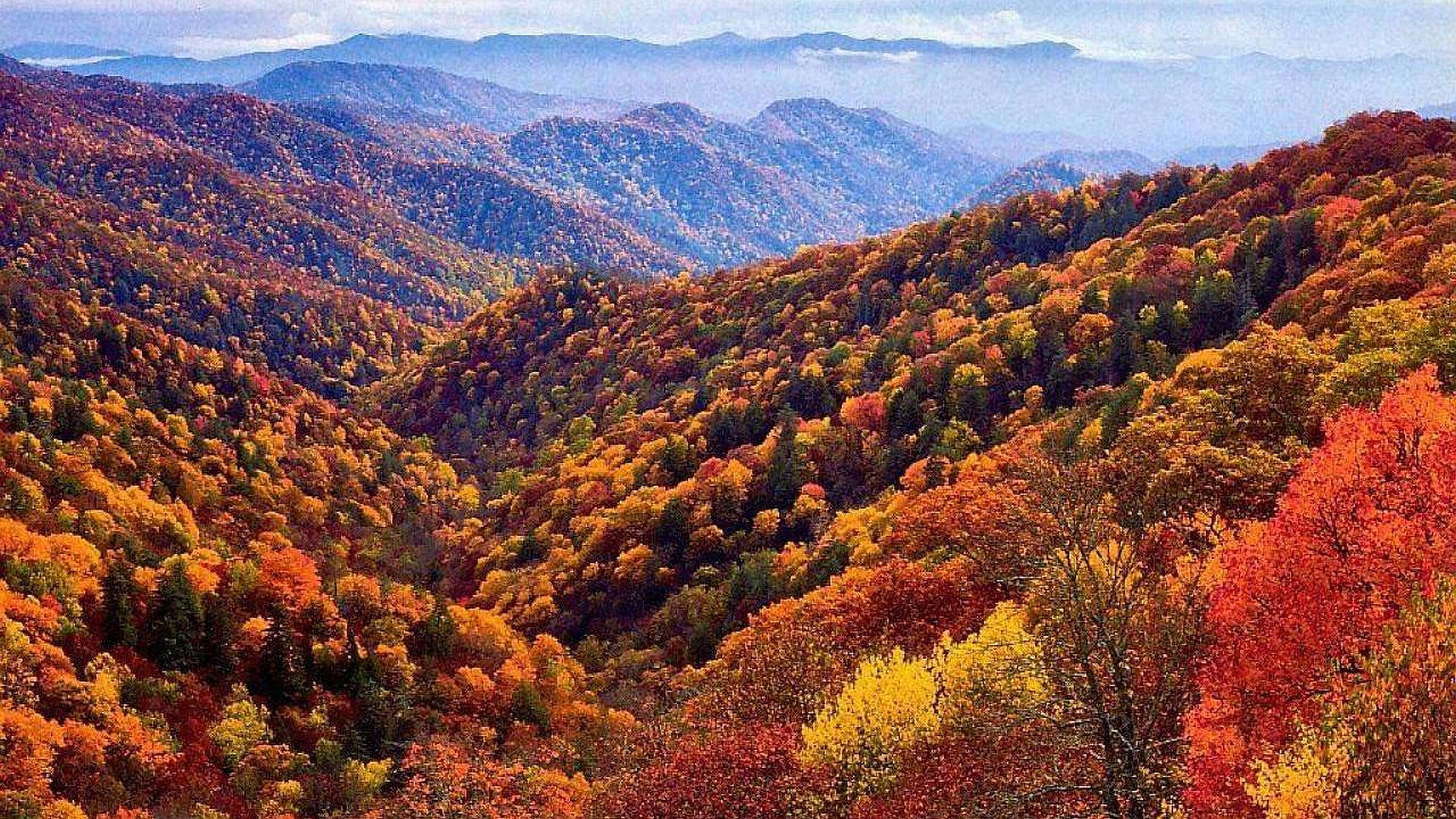 Descarga gratuita de fondo de pantalla para móvil de Pintoresco, Tierra/naturaleza.