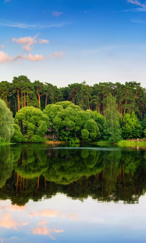 Descarga gratuita de fondo de pantalla para móvil de Lagos, Lago, Reflexión, Bosque, Árbol, Tierra/naturaleza, Reflejo.