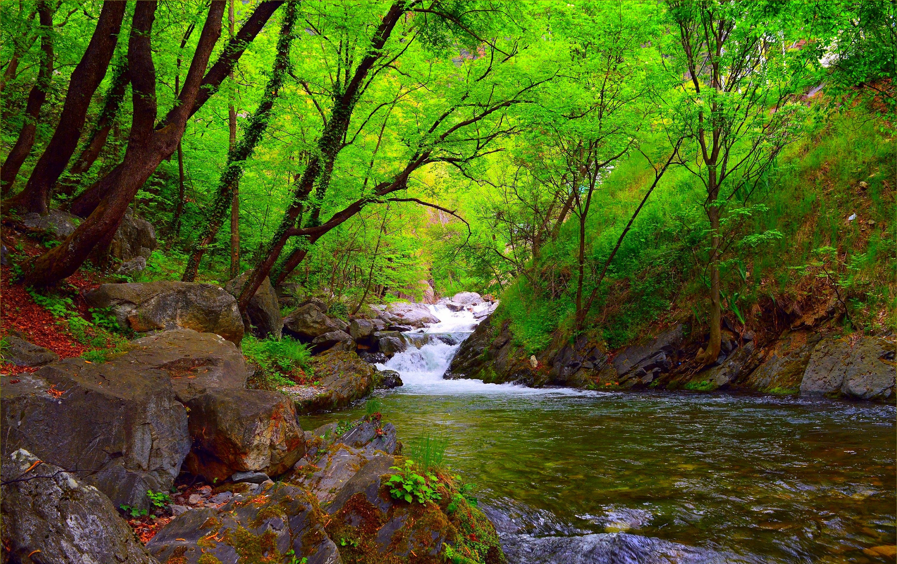 Handy-Wallpaper Fluss, Erde/natur kostenlos herunterladen.