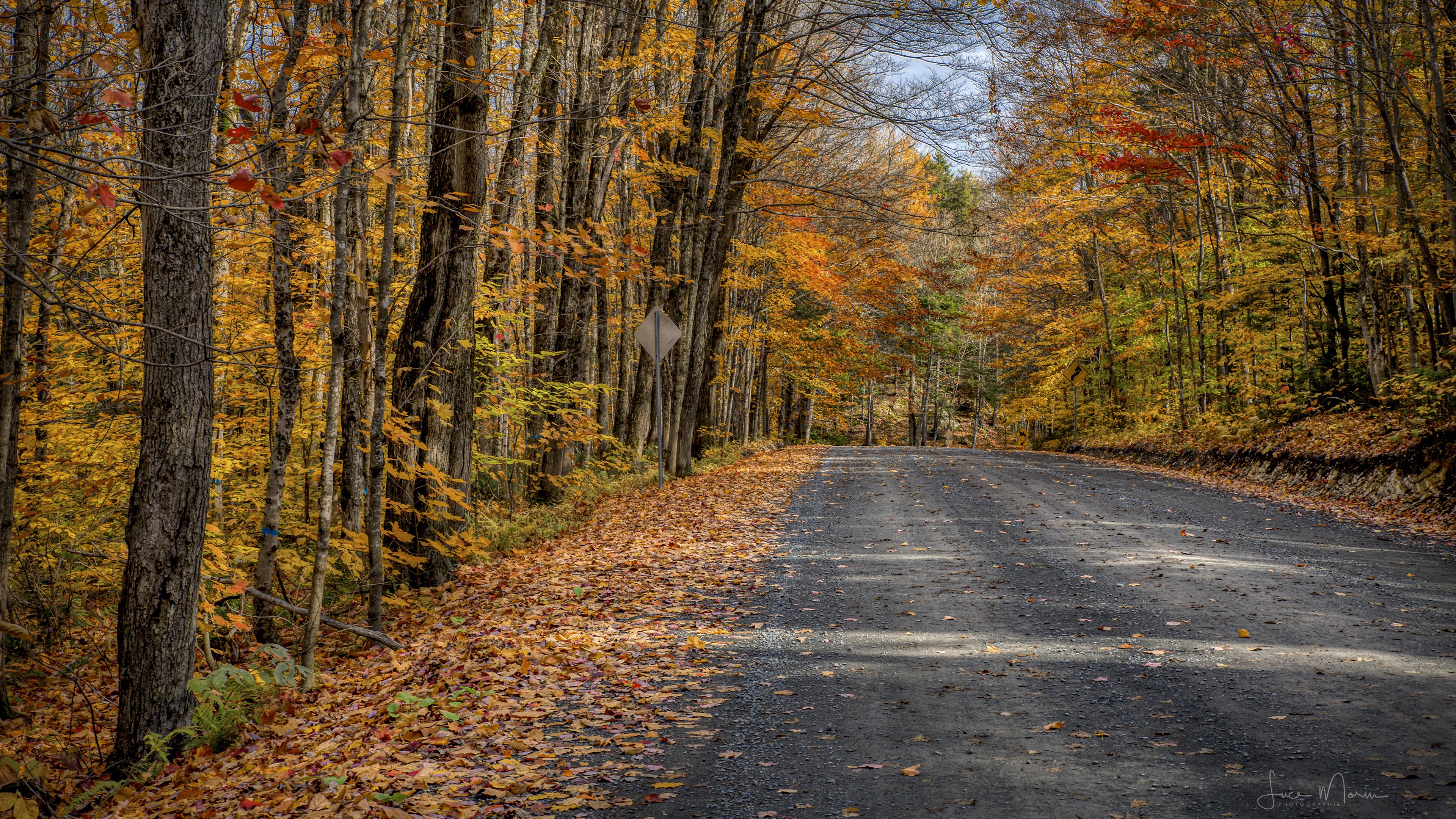 Download mobile wallpaper Road, Forest, Fall, Man Made for free.