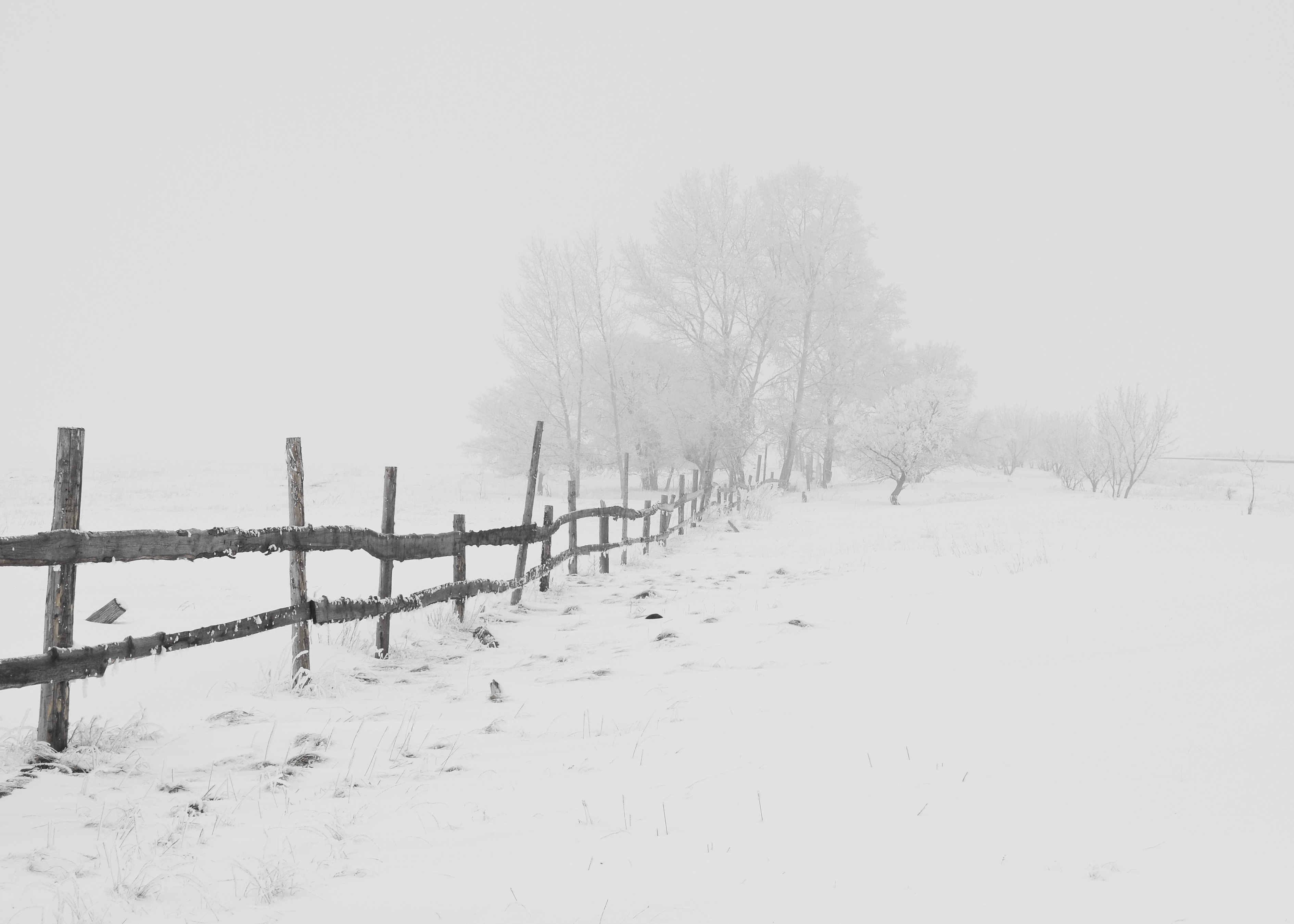 Download mobile wallpaper Winter, Nature, Snow, Tree, Fence, Photography for free.