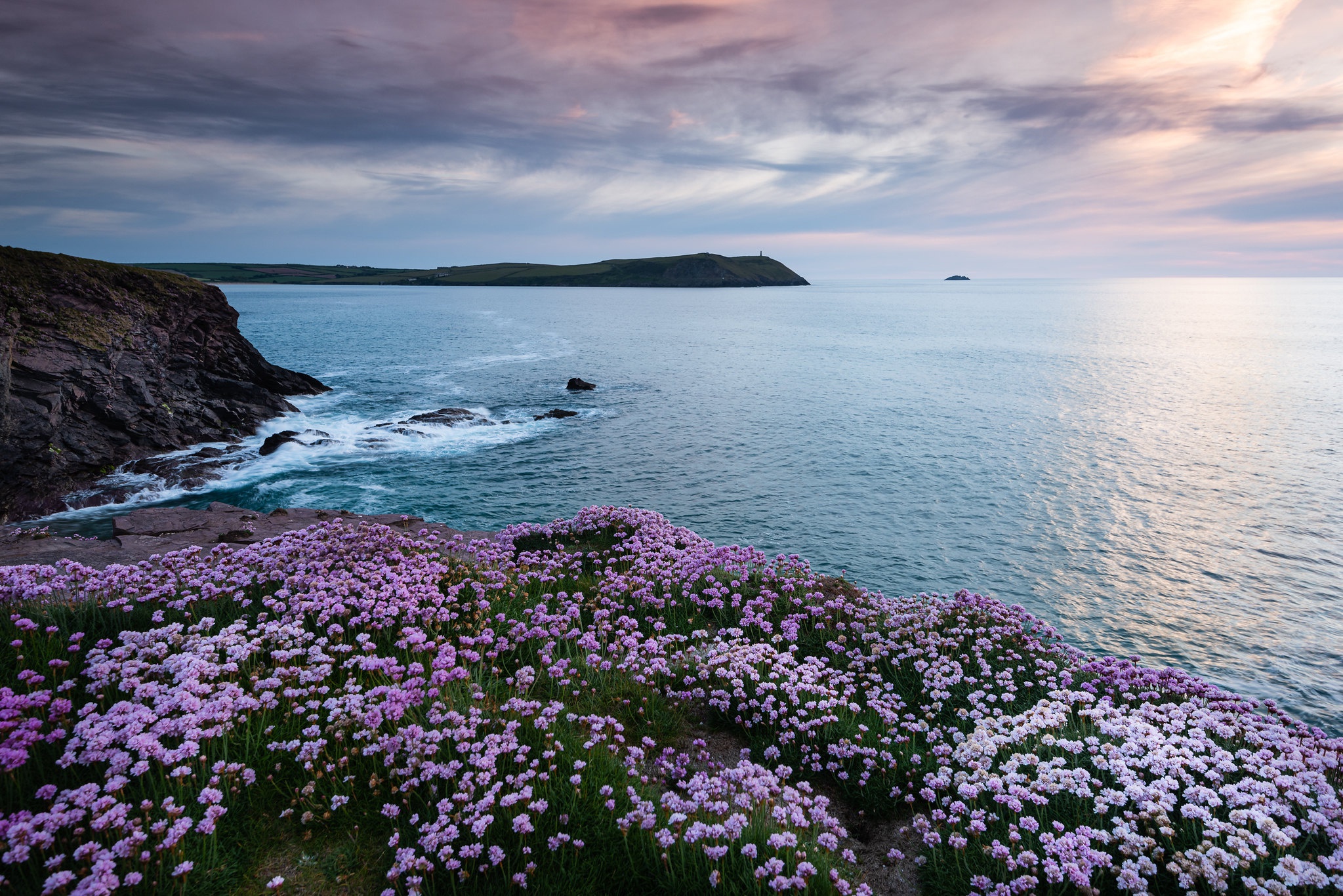 Laden Sie das Blume, Küste, Ozean, England, Erde/natur-Bild kostenlos auf Ihren PC-Desktop herunter