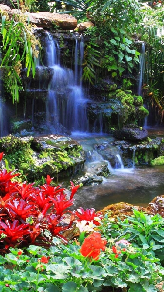 Download mobile wallpaper Nature, Waterfalls, Plant, Waterfall, Earth, Garden, Pond for free.