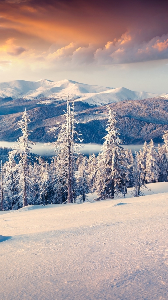 Descarga gratuita de fondo de pantalla para móvil de Invierno, Tierra/naturaleza.