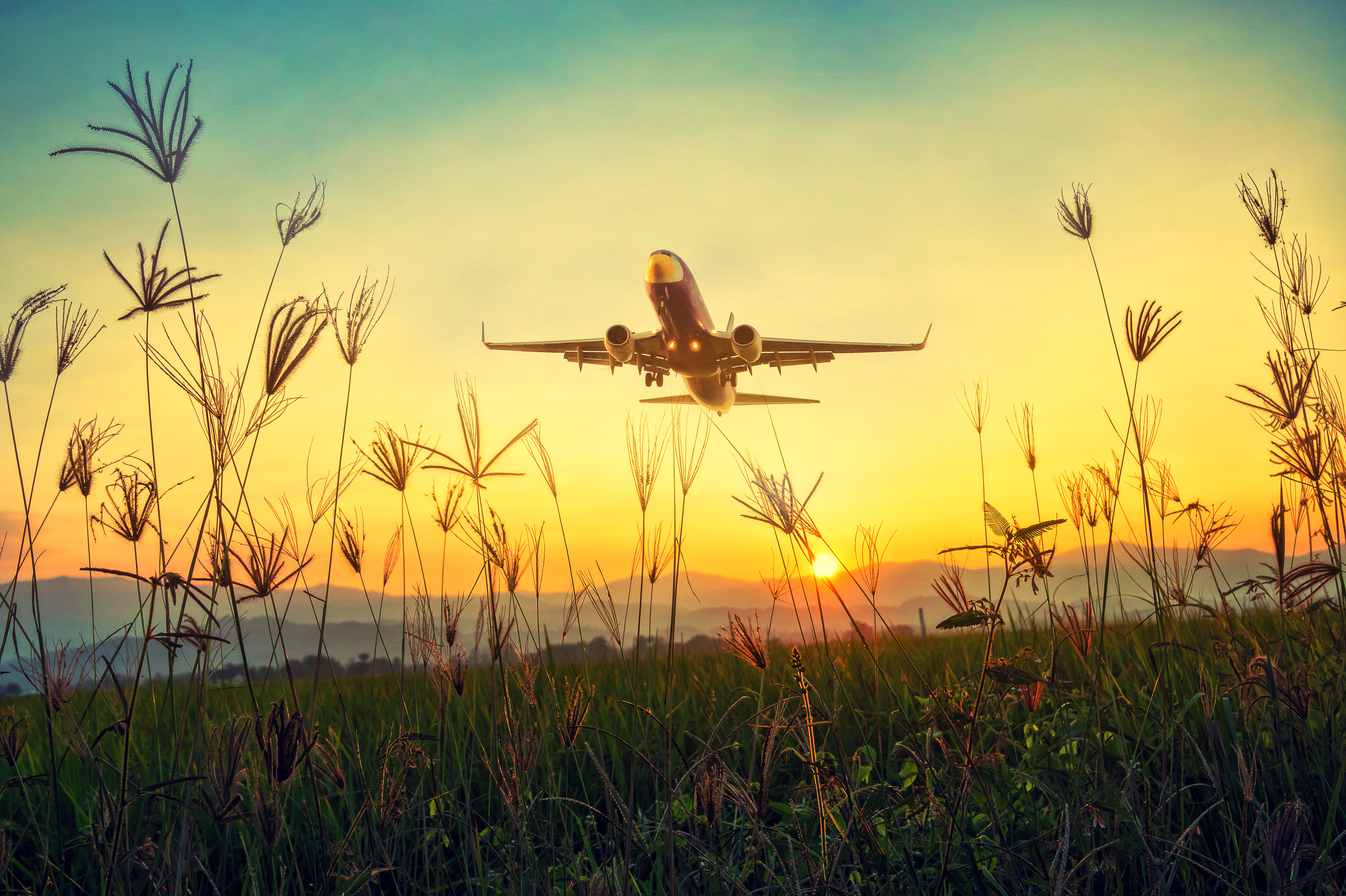 plane, sunset, airplane, takeoff, dawn, miscellanea, grass, sky, miscellaneous