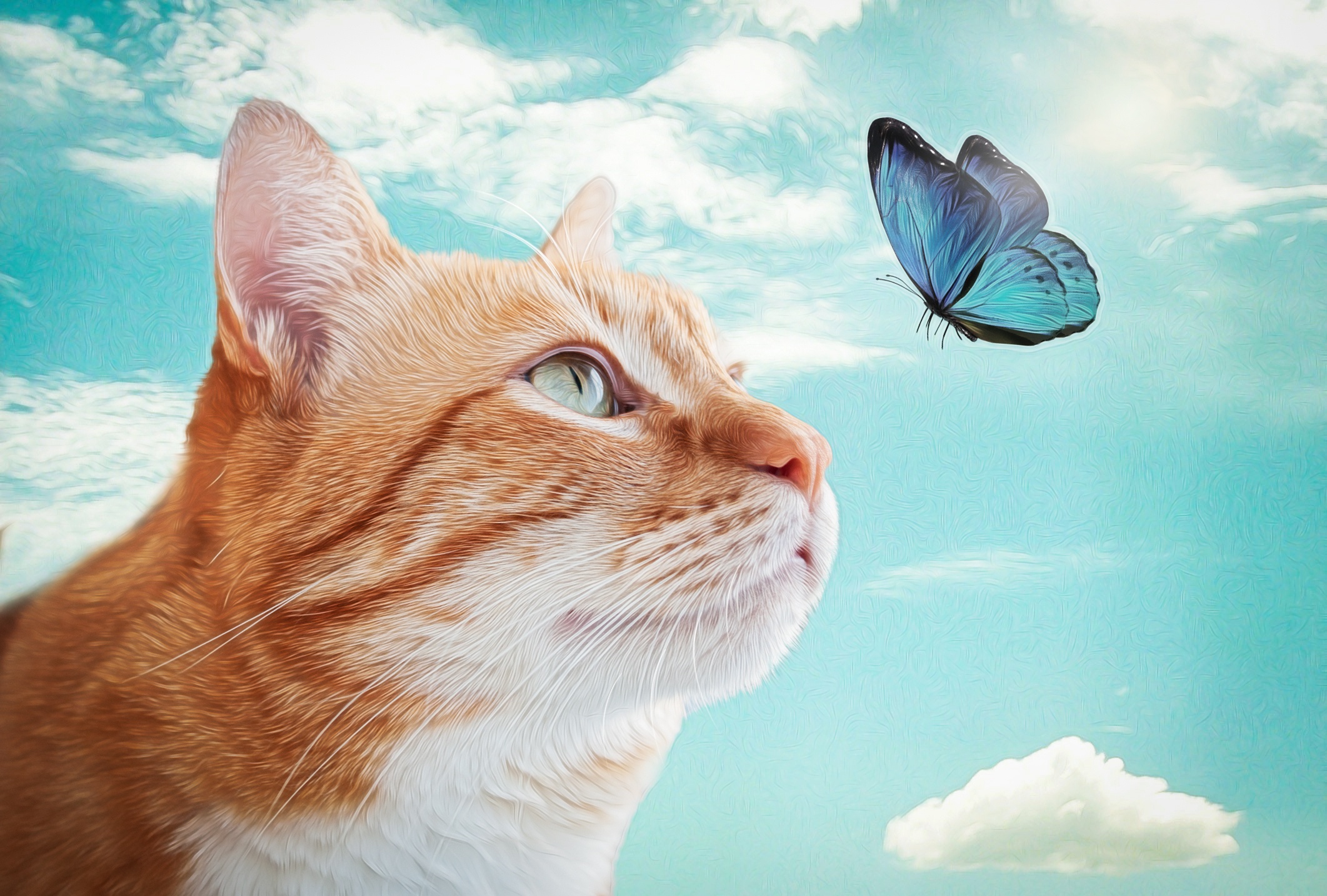 Download mobile wallpaper Cats, Cat, Butterfly, Animal for free.